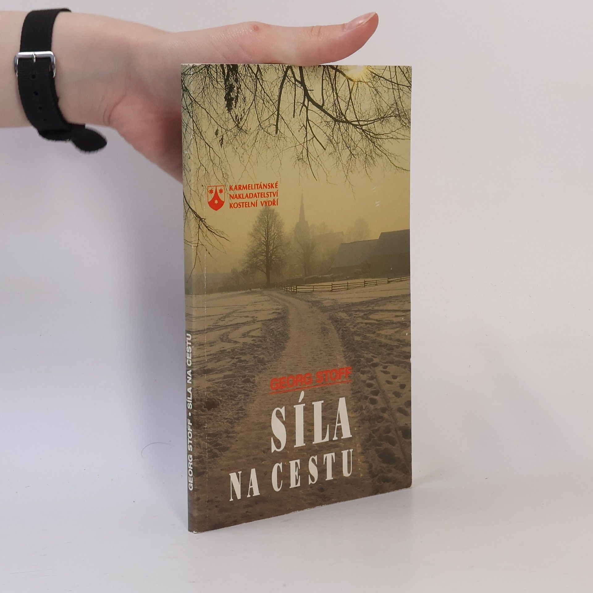 Síla na cestu: Rozhovory o víře s nemocnými a umírajícími