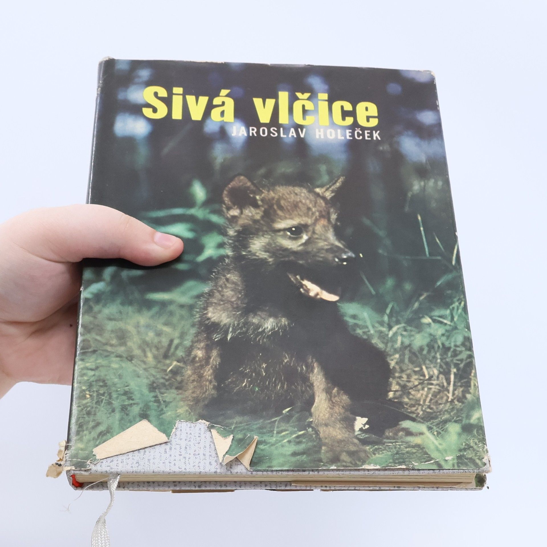 Jaroslav Holeček Sivá vlčice