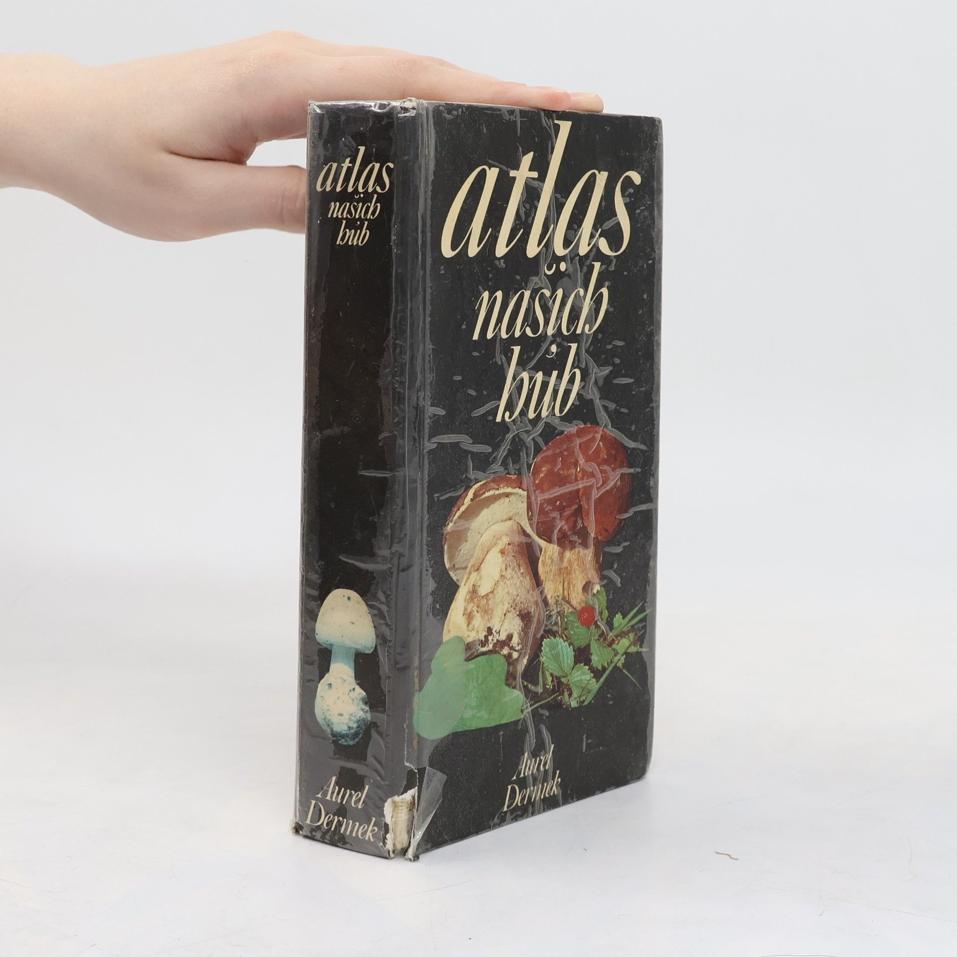 Aurel Dermek Atlas našich húb