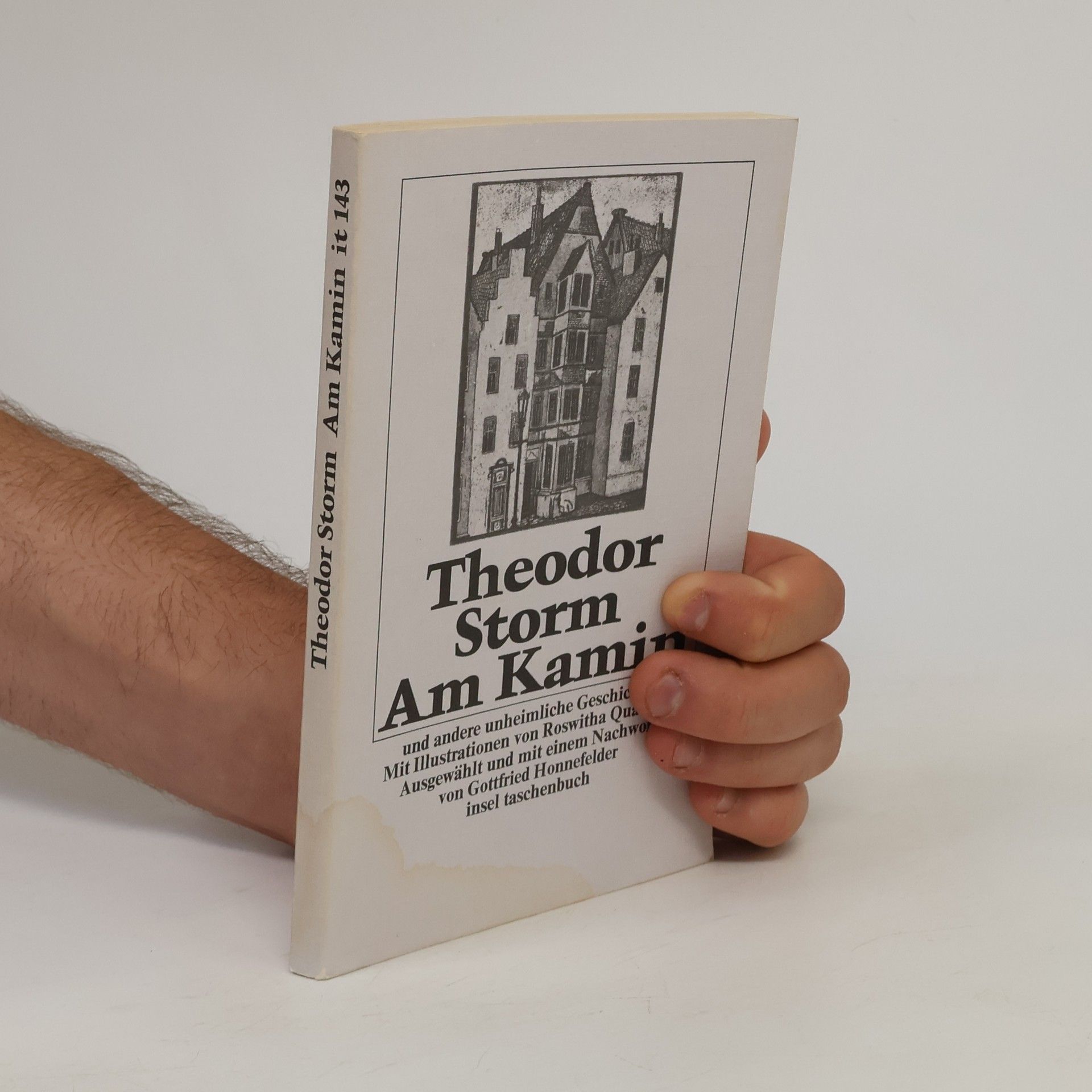 Theodor Storm Am Kamin und andere unheimliche Geschichten