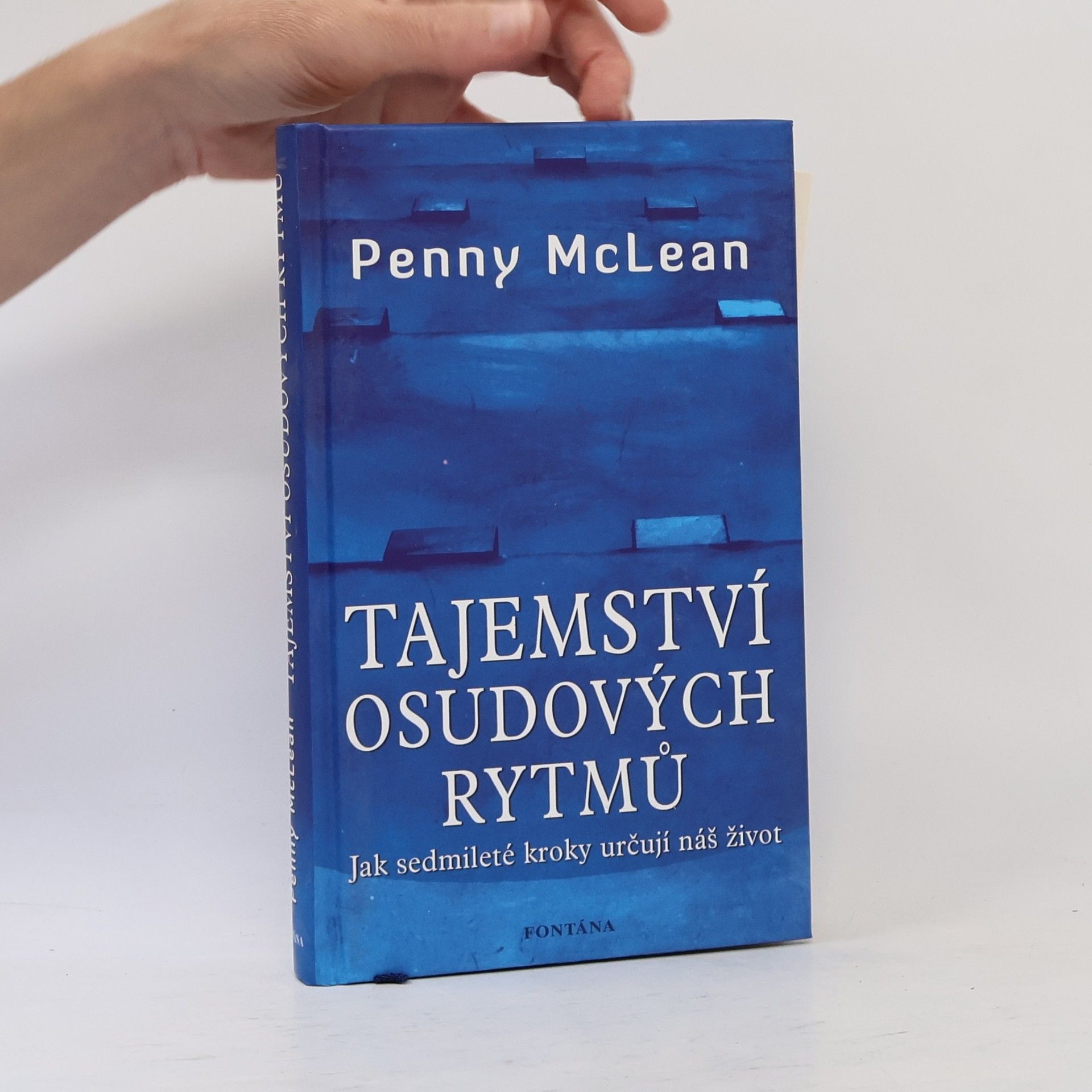 Penny McLean Tajemství osudových rytmů