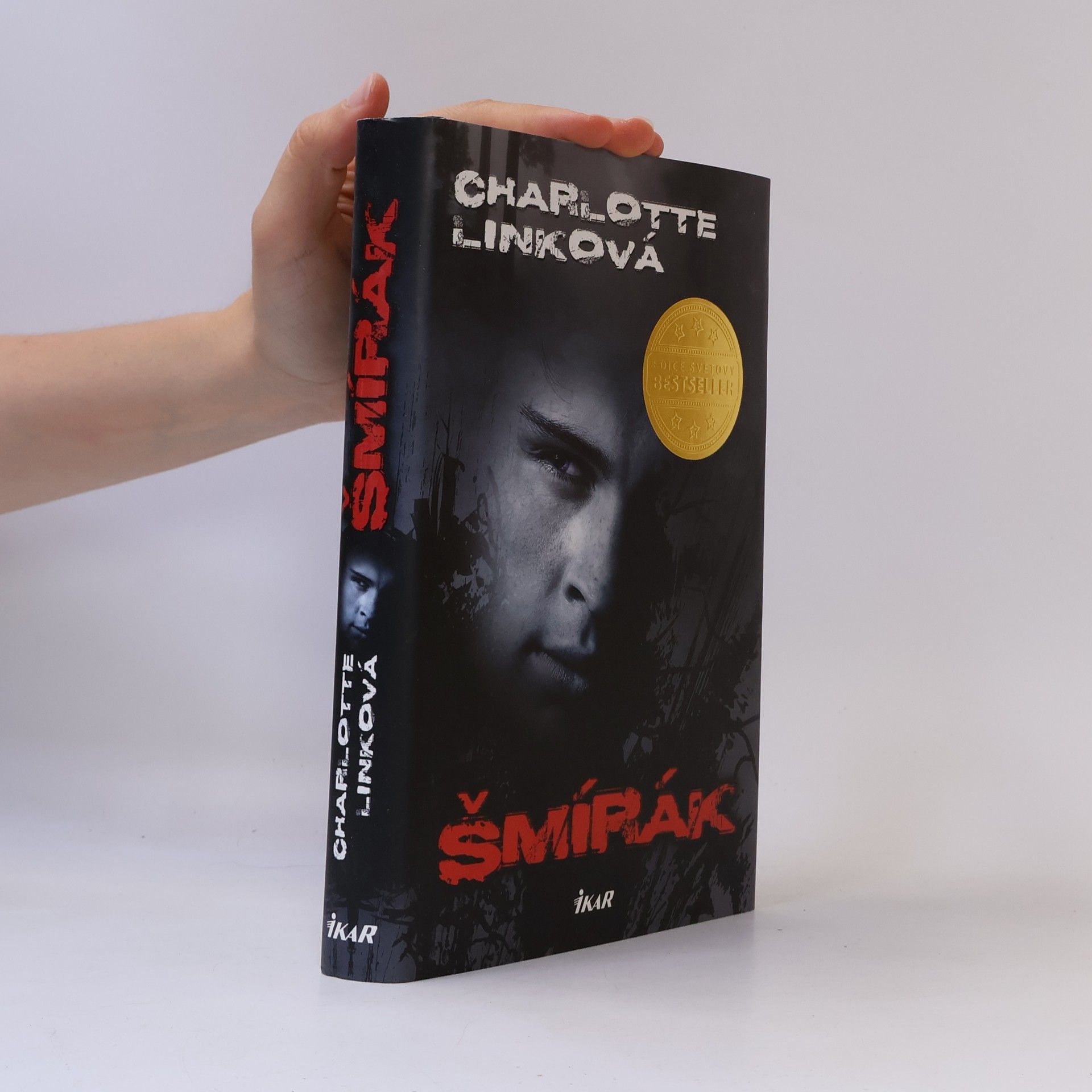 Charlotte Link Šmírák