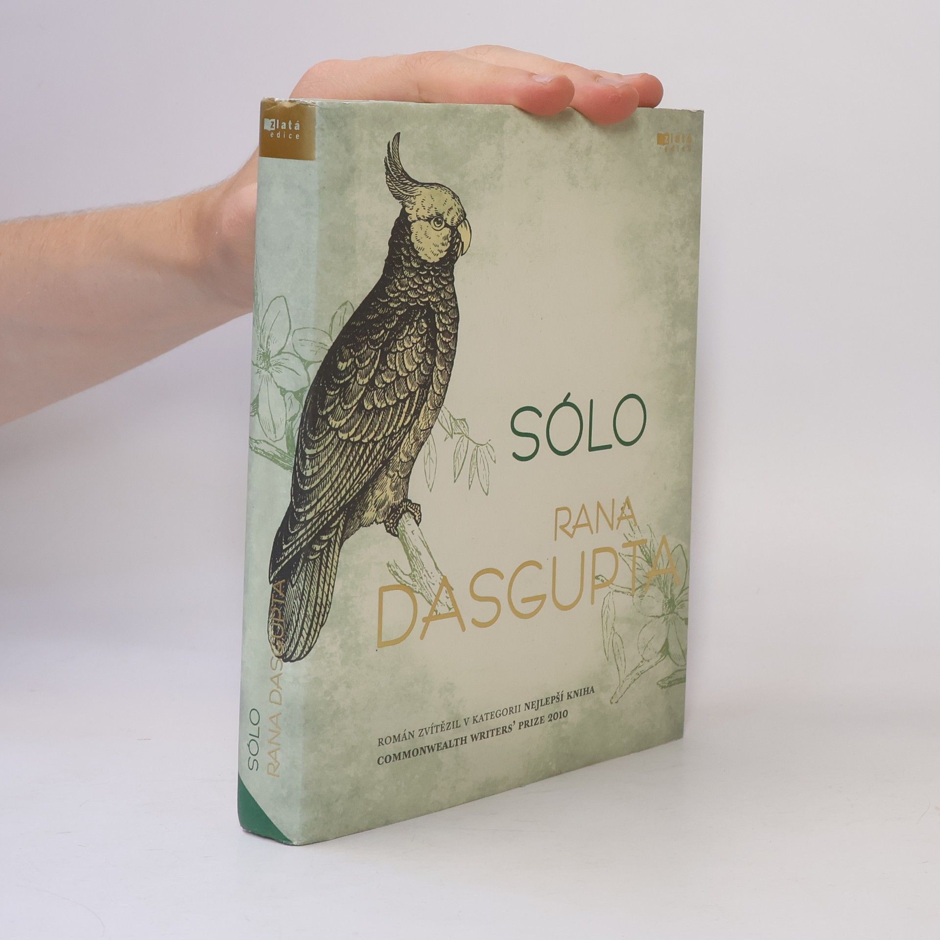 Rana Dasgupta Sólo