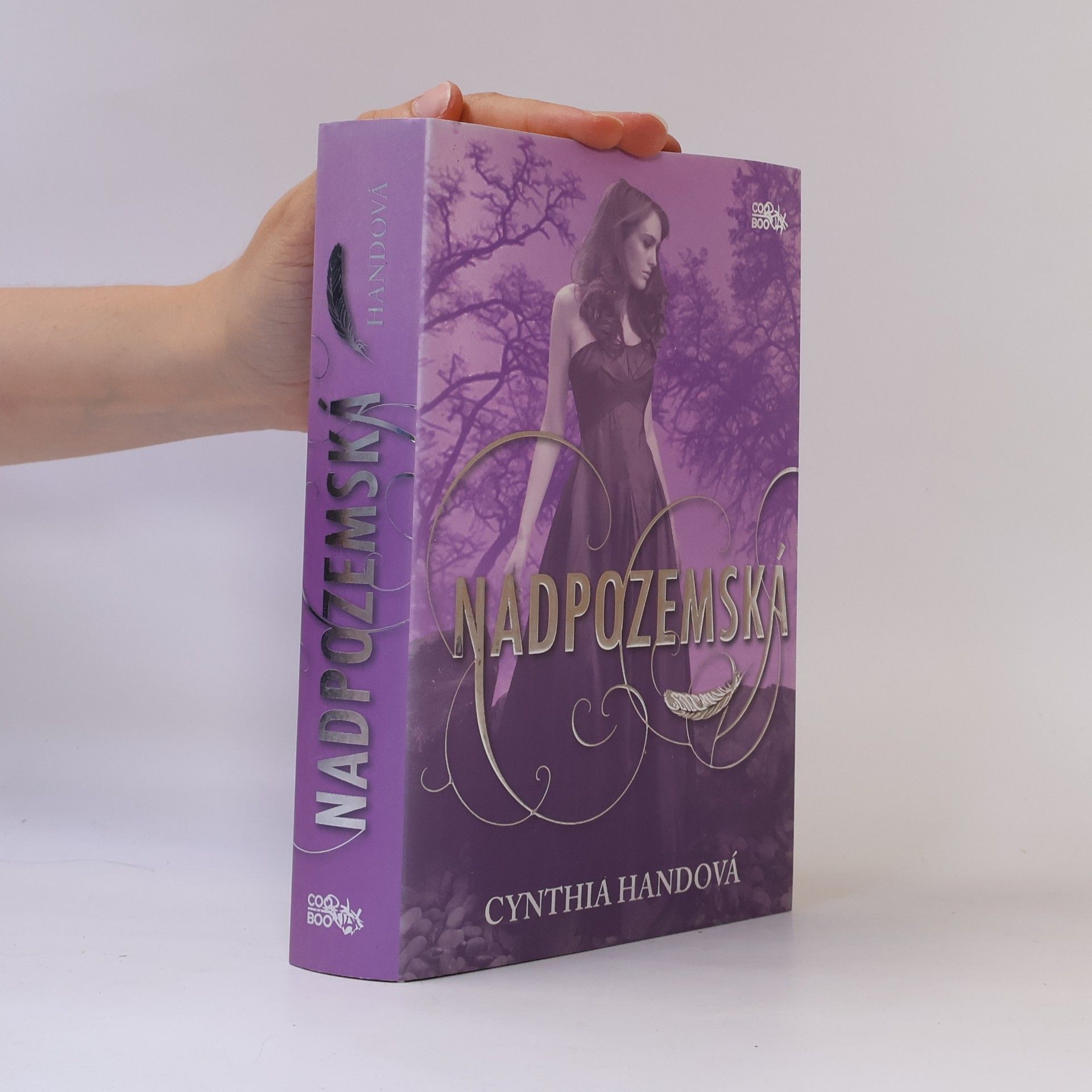 Cynthia Hand Nadpozemská. První díl