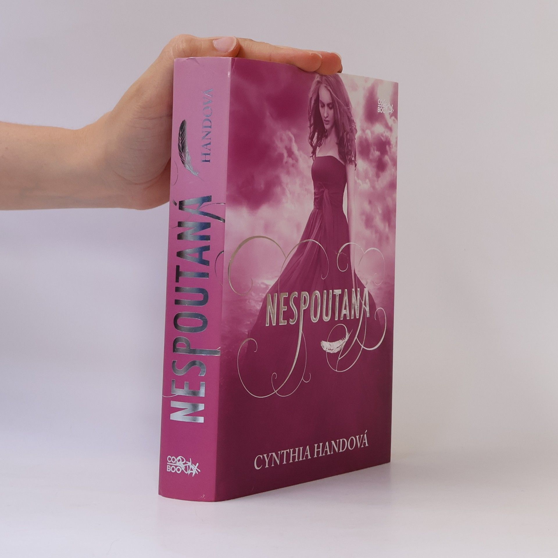 Cynthia Hand Nespoutaná. Třetí díl