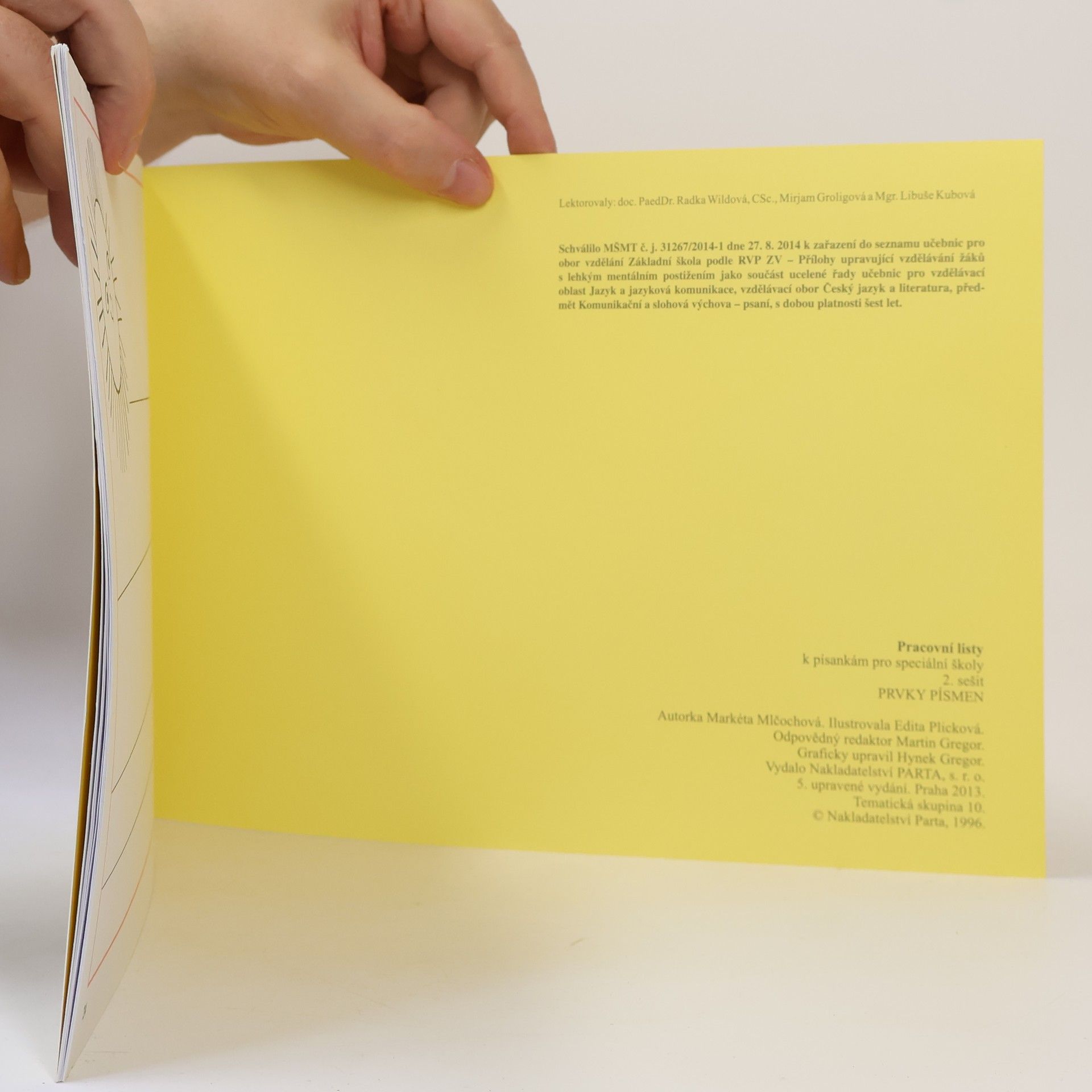 Collectif d'auteurs Pracovní listy k písankám pro speciální školy. 2. sešit