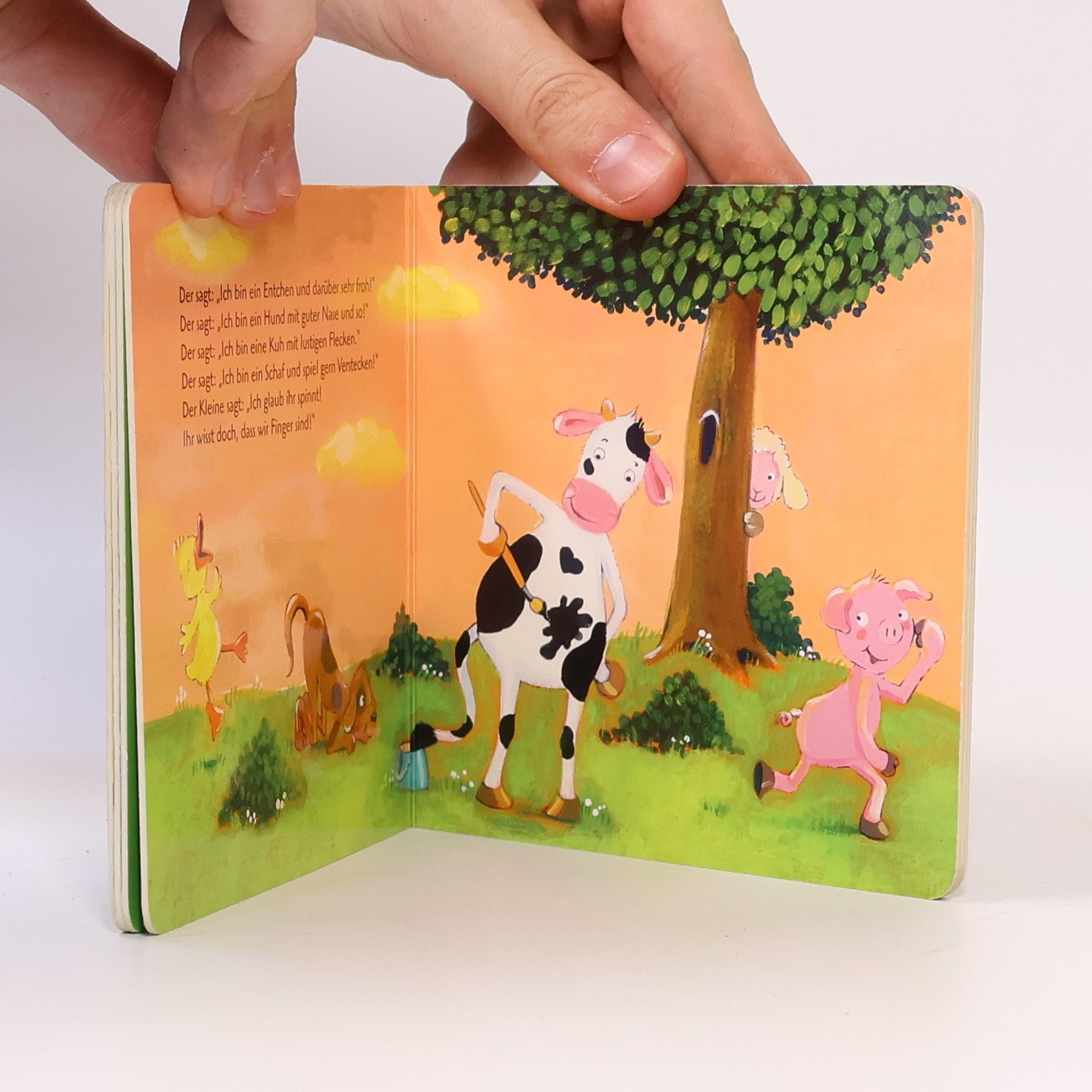 Marina Rachner Mein liebster Fingerpuppen-Handschuh - Alle meine Fingerlein
