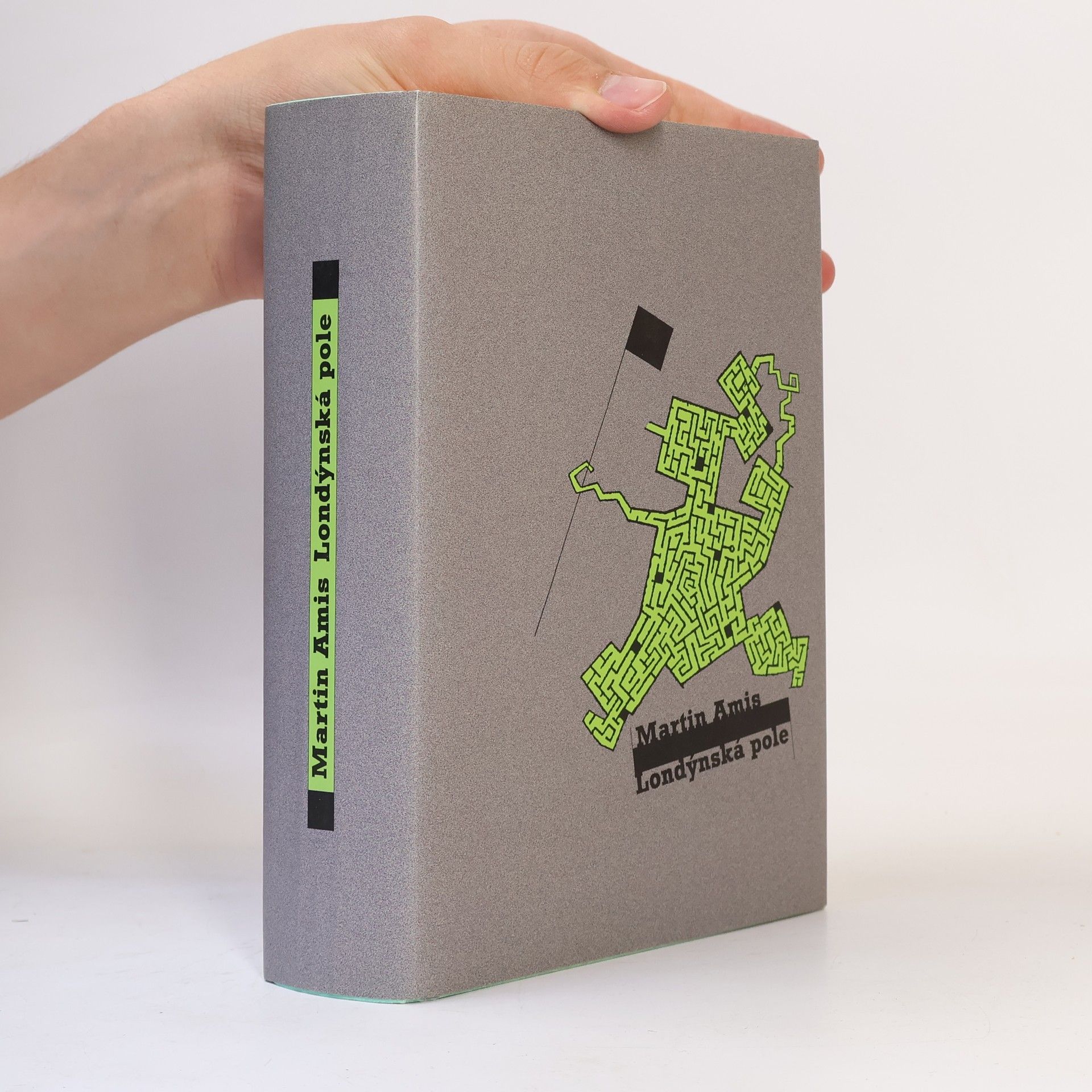Martin Amis Londýnská pole
