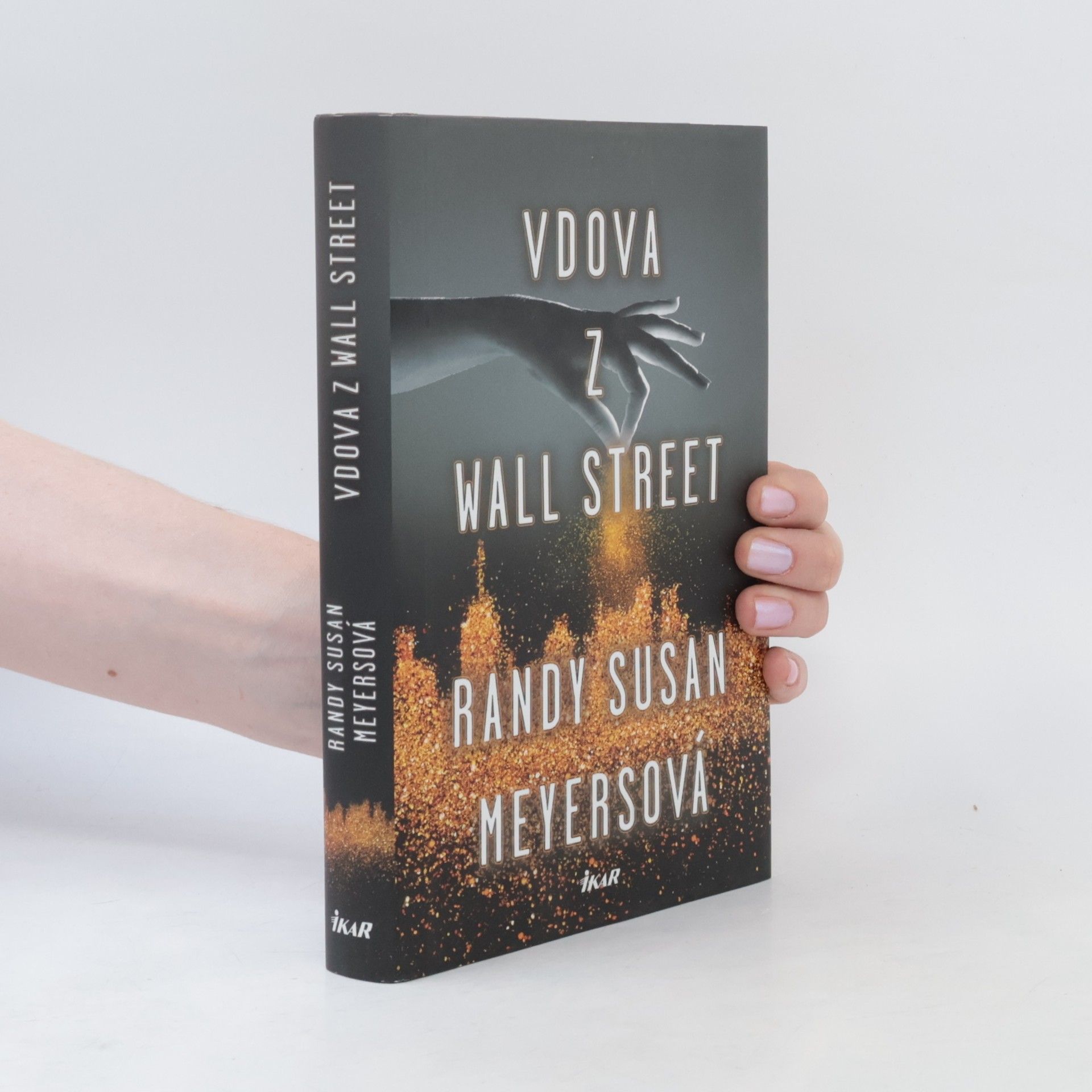 Randy Susan Meyers Vdova z Wall Street