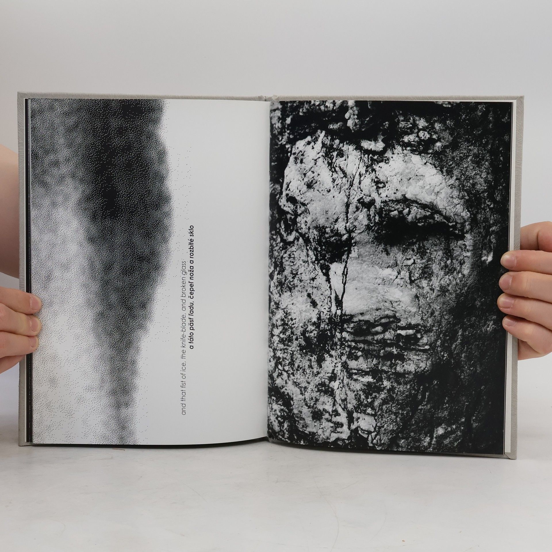Daniel Šimko You Are Snow / Si sneh