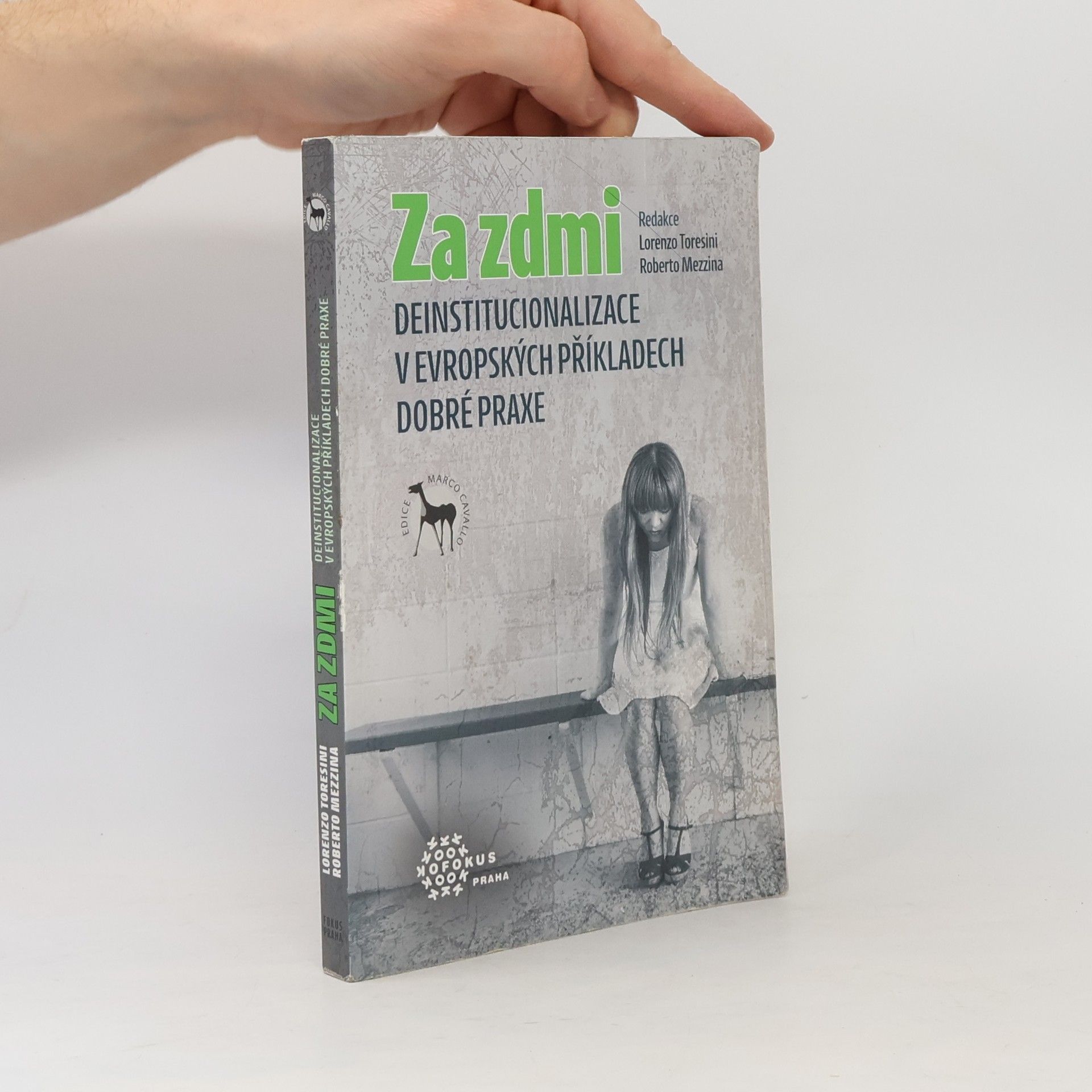 Za zdmi. Deinstitucionalizace v evropských příkladech dobré praxe