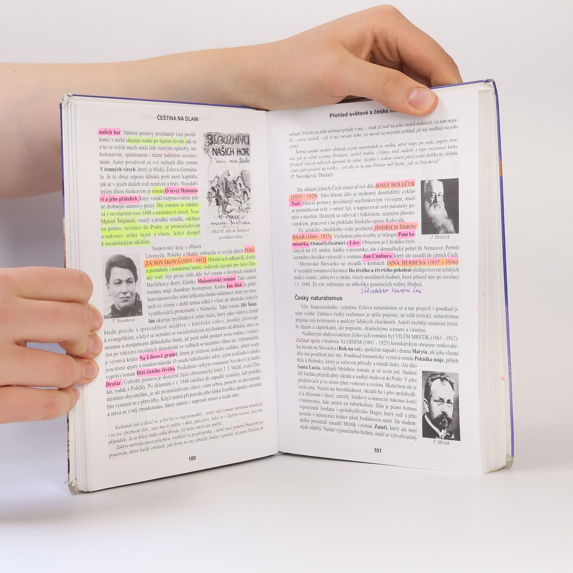 Alois Bauer Čeština na dlani. Přehled světové a české literatury