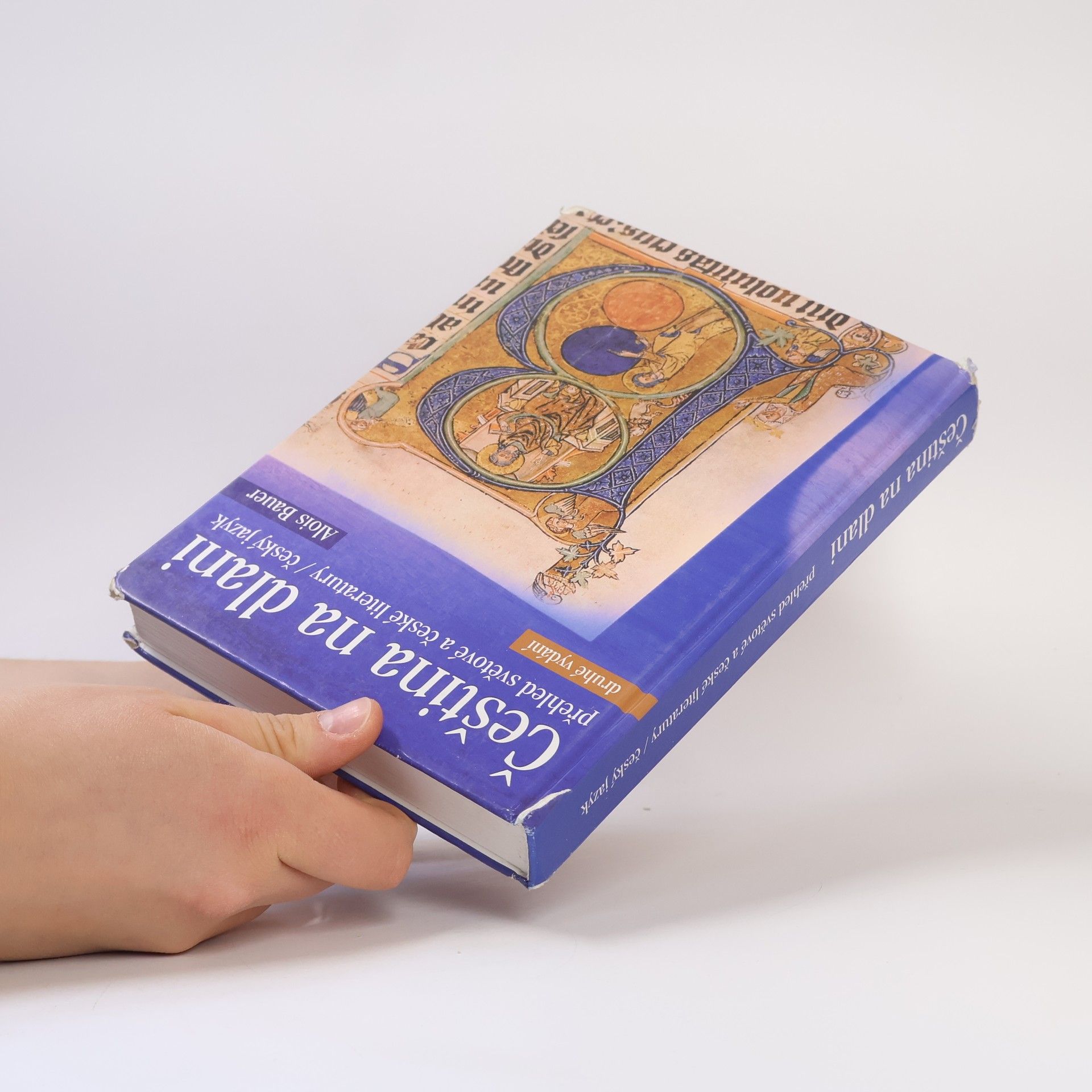 Alois Bauer Čeština na dlani. Přehled světové a české literatury