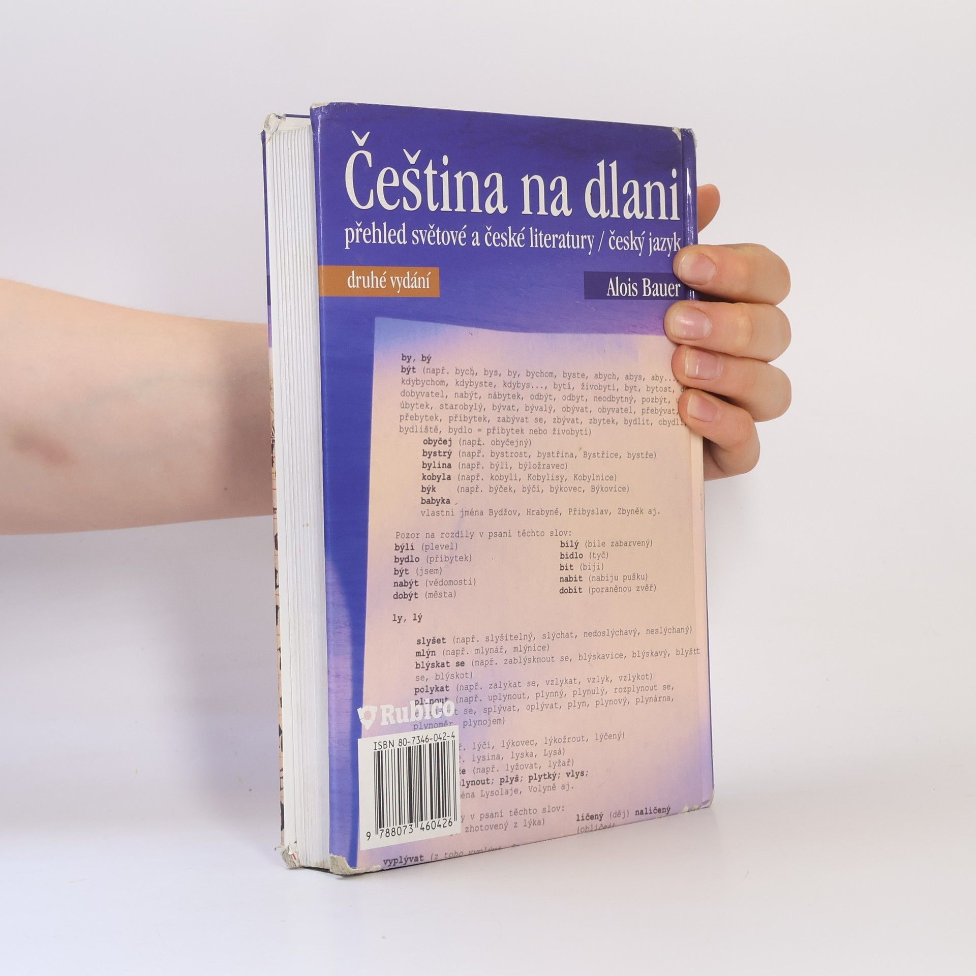 Alois Bauer Čeština na dlani. Přehled světové a české literatury