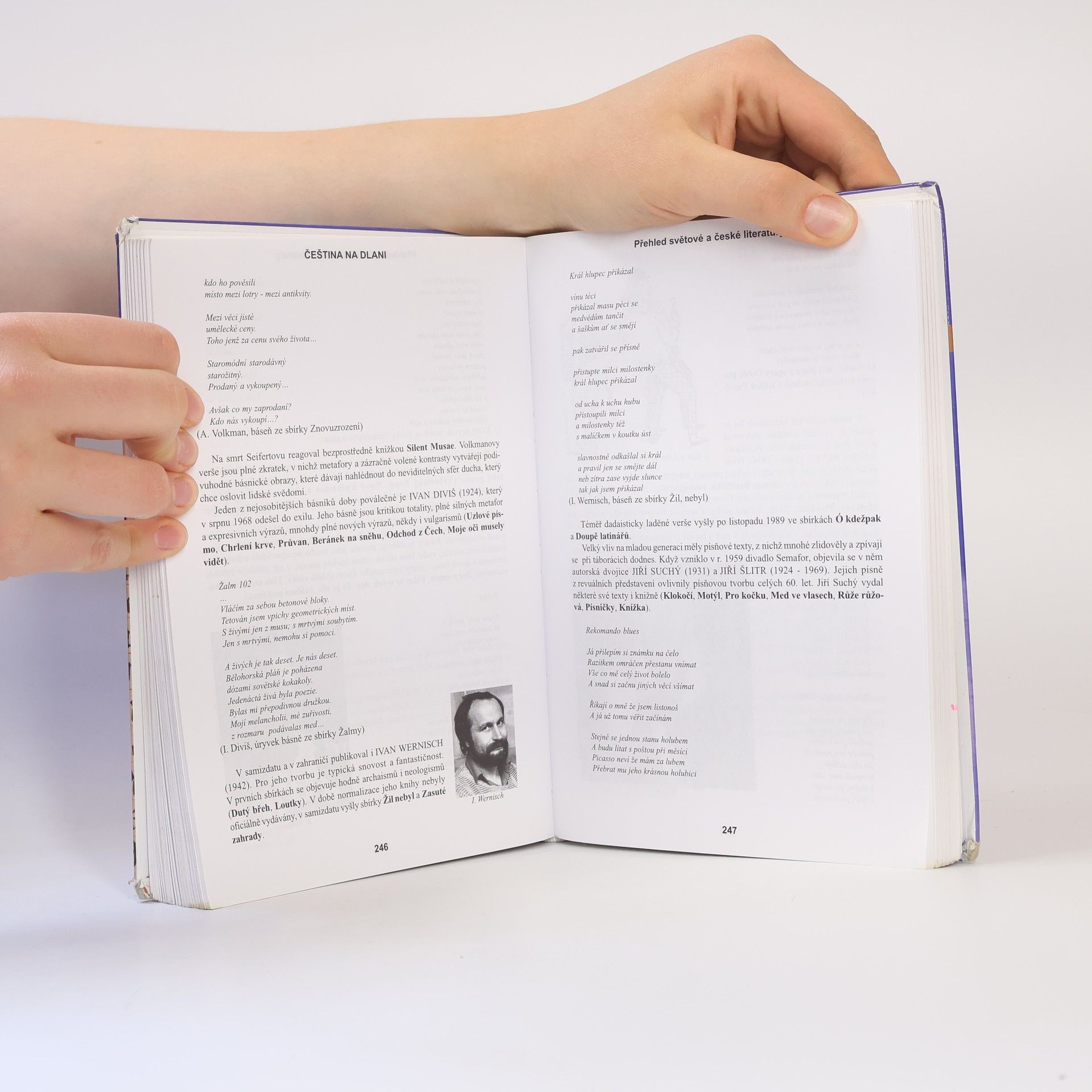Alois Bauer Čeština na dlani. Přehled světové a české literatury