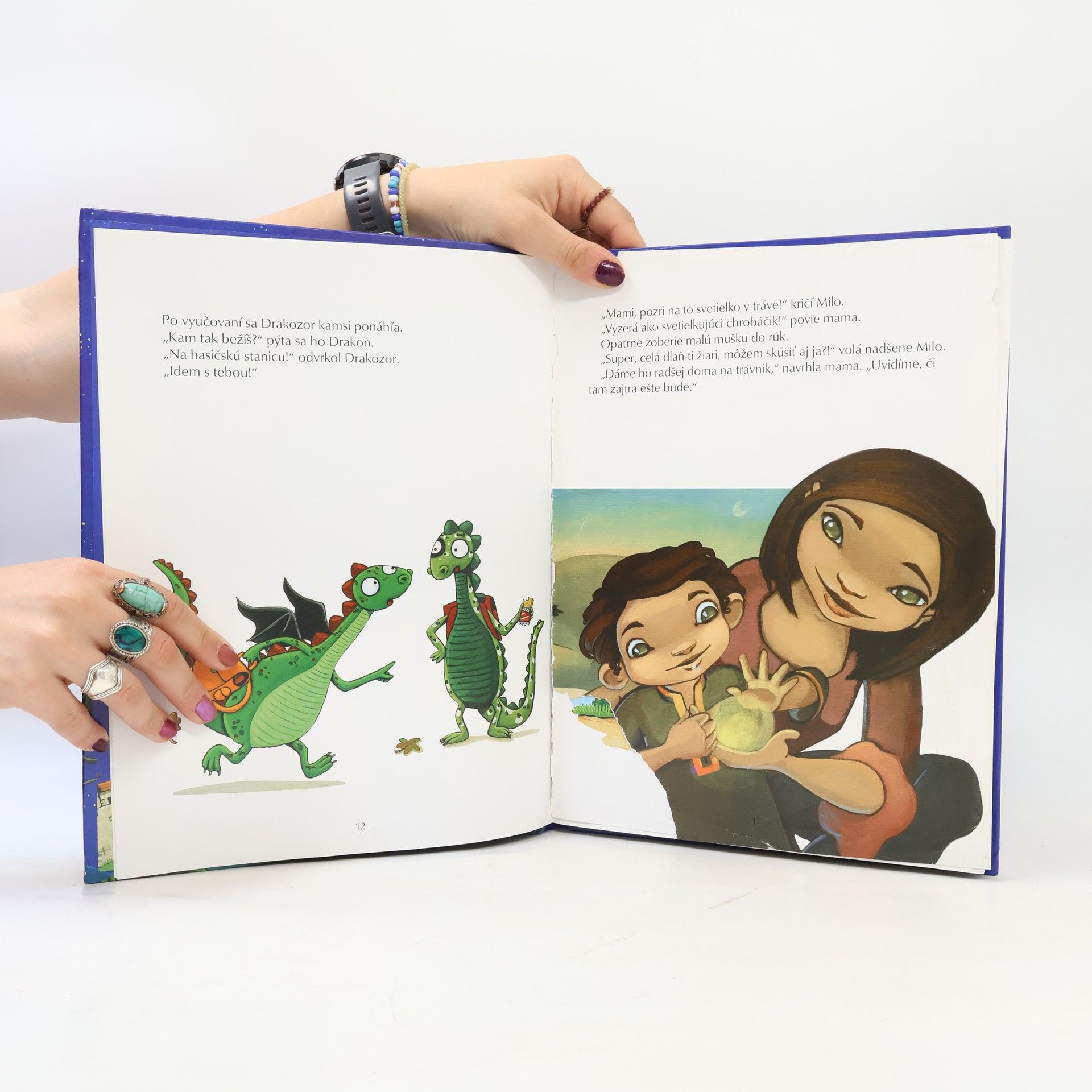 Autorenkollektiv 13 rozprávok z krajiny čarodejníc drakov a upírov