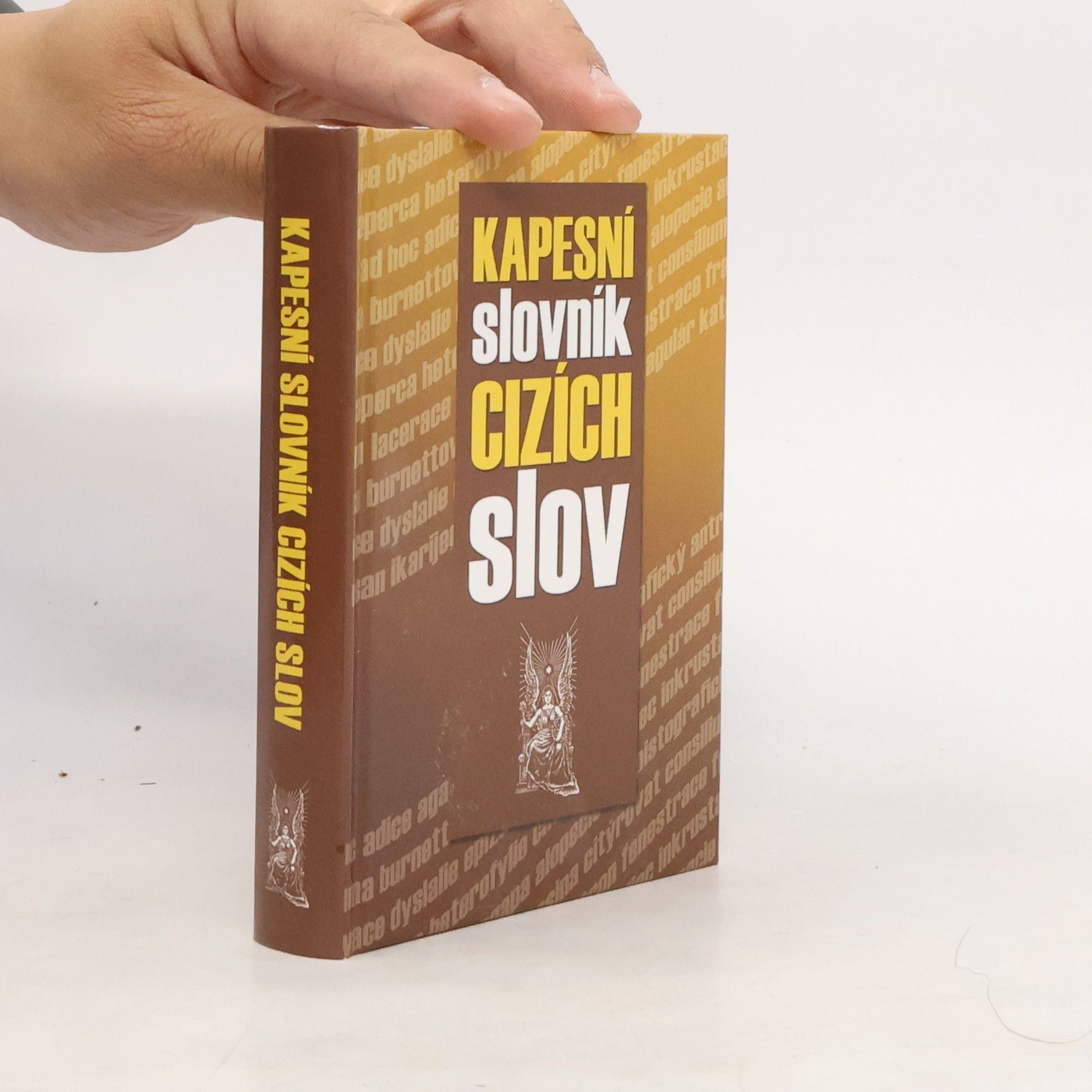 Autorenkollektiv Kapesní slovník cizích slov