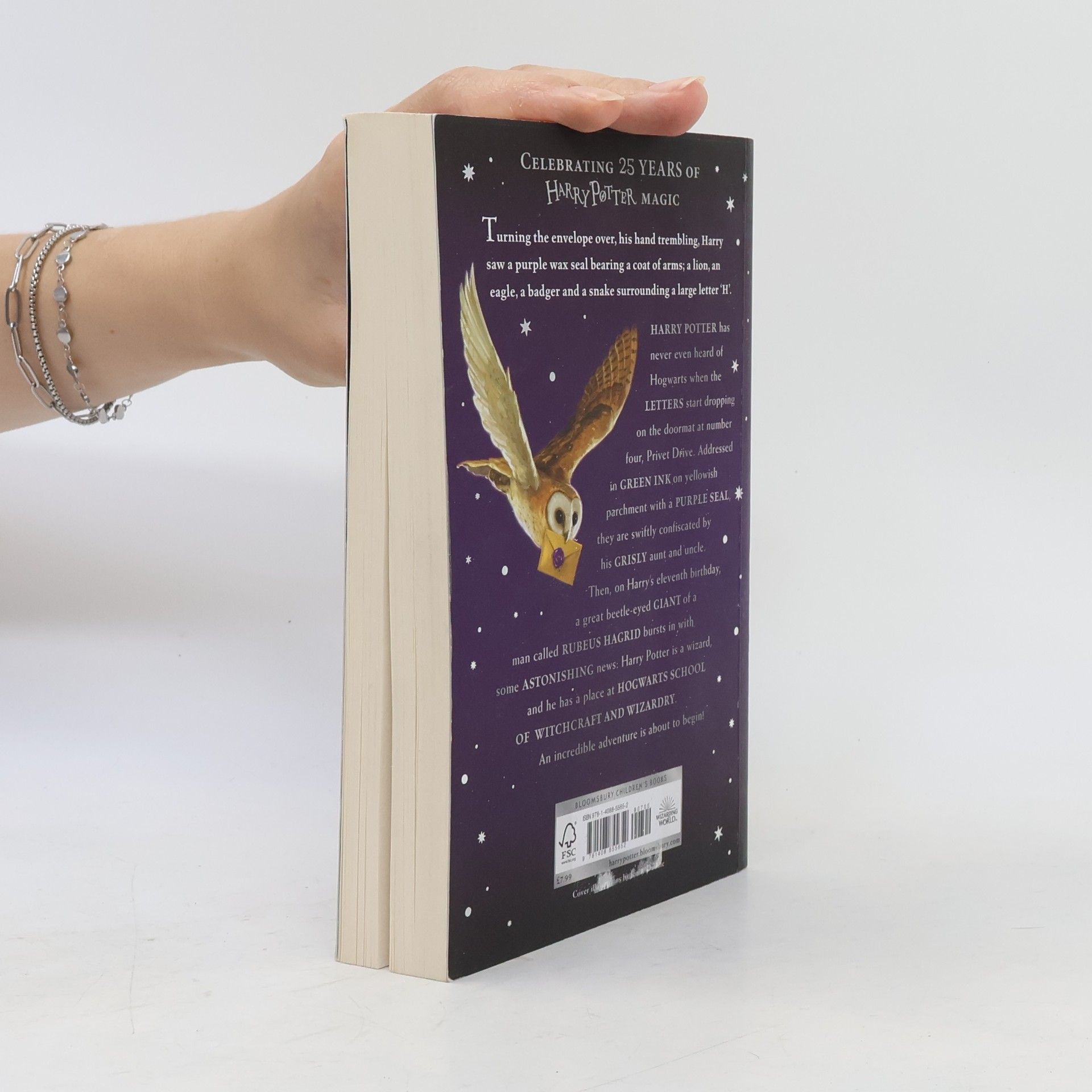 J. K. Rowling Harry Potter and The Philosopher's Stone