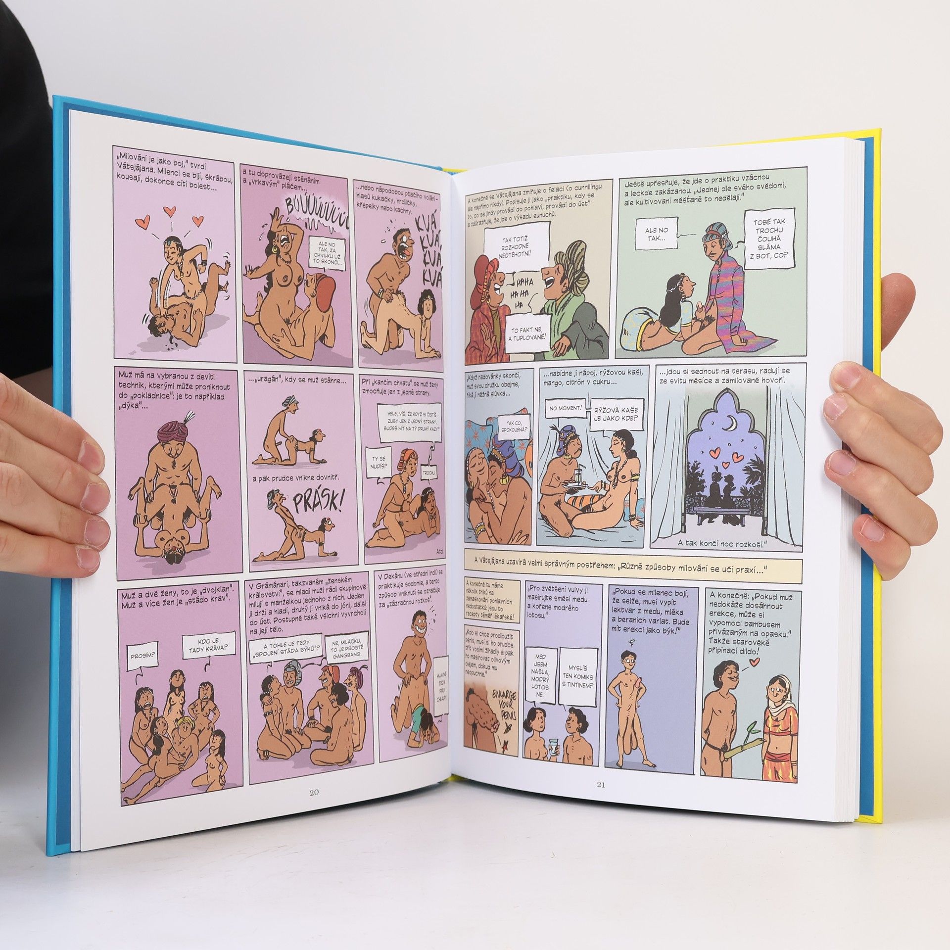 Philippe Brenot Sex komiks : intimní historie Afriky a Orientu