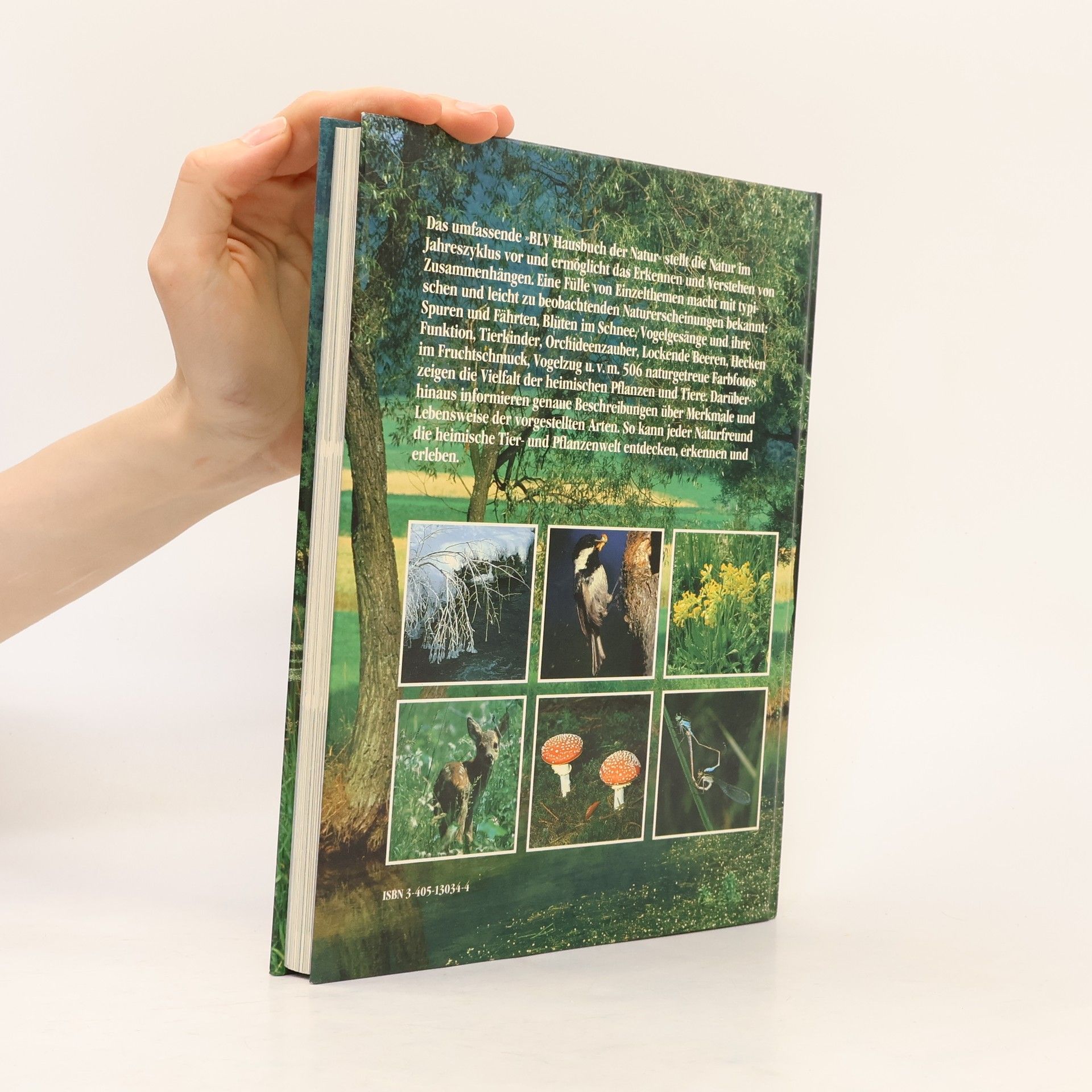 Michael Lohmann Das farbige BLV-Hausbuch der Natur
