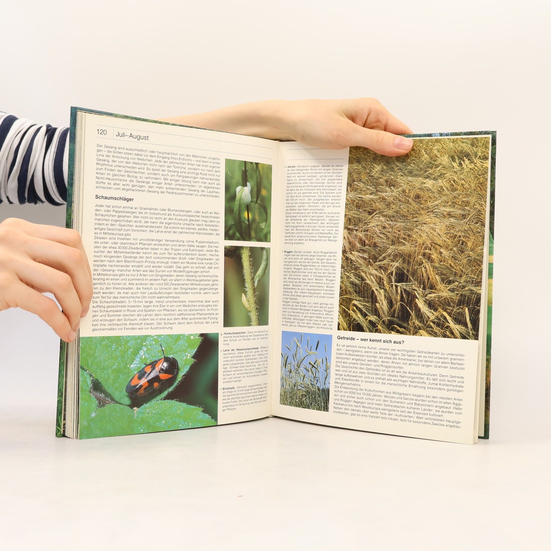 Michael Lohmann Das farbige BLV-Hausbuch der Natur