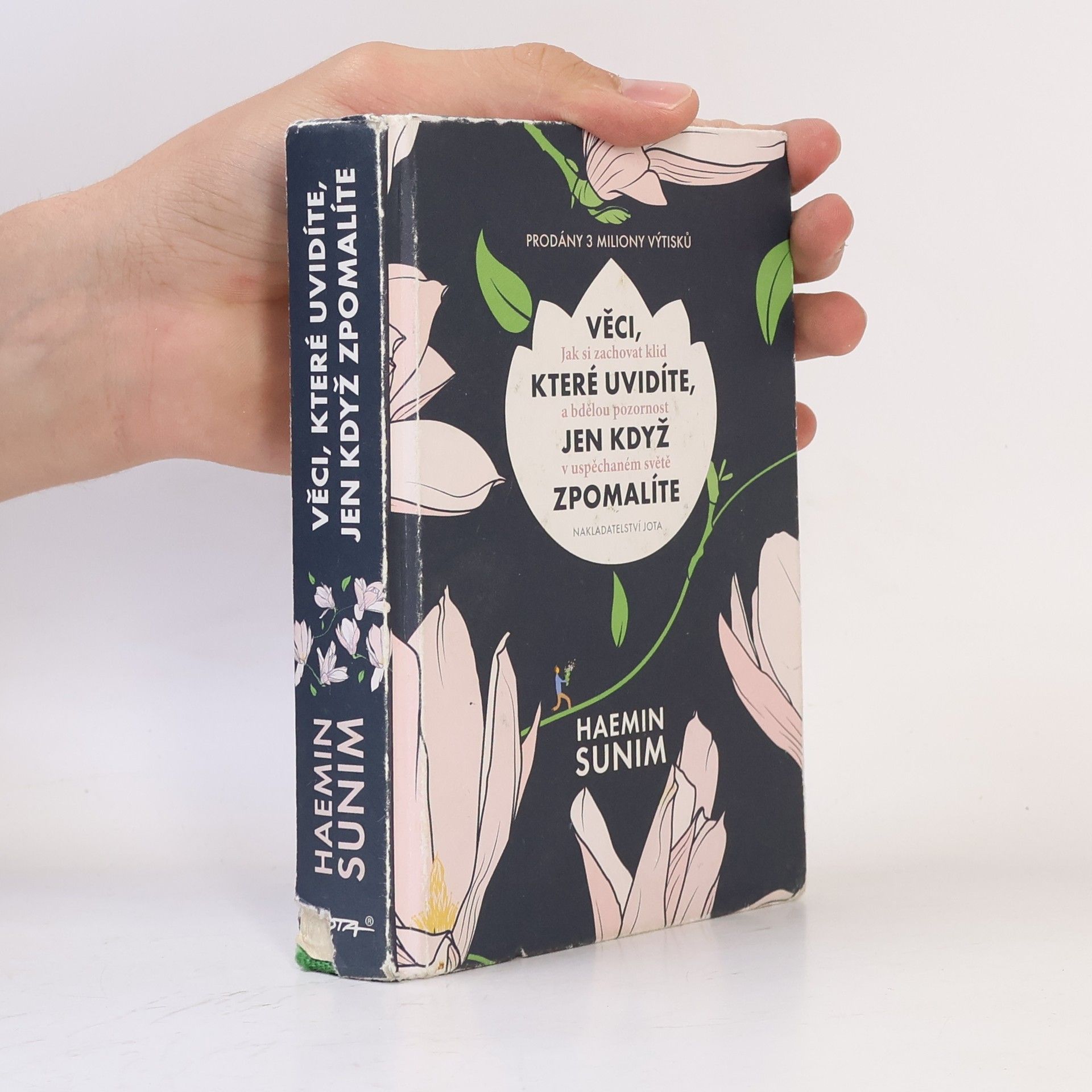 Sunim Haemin Věci, které uvidíte, jen když zpomalíte