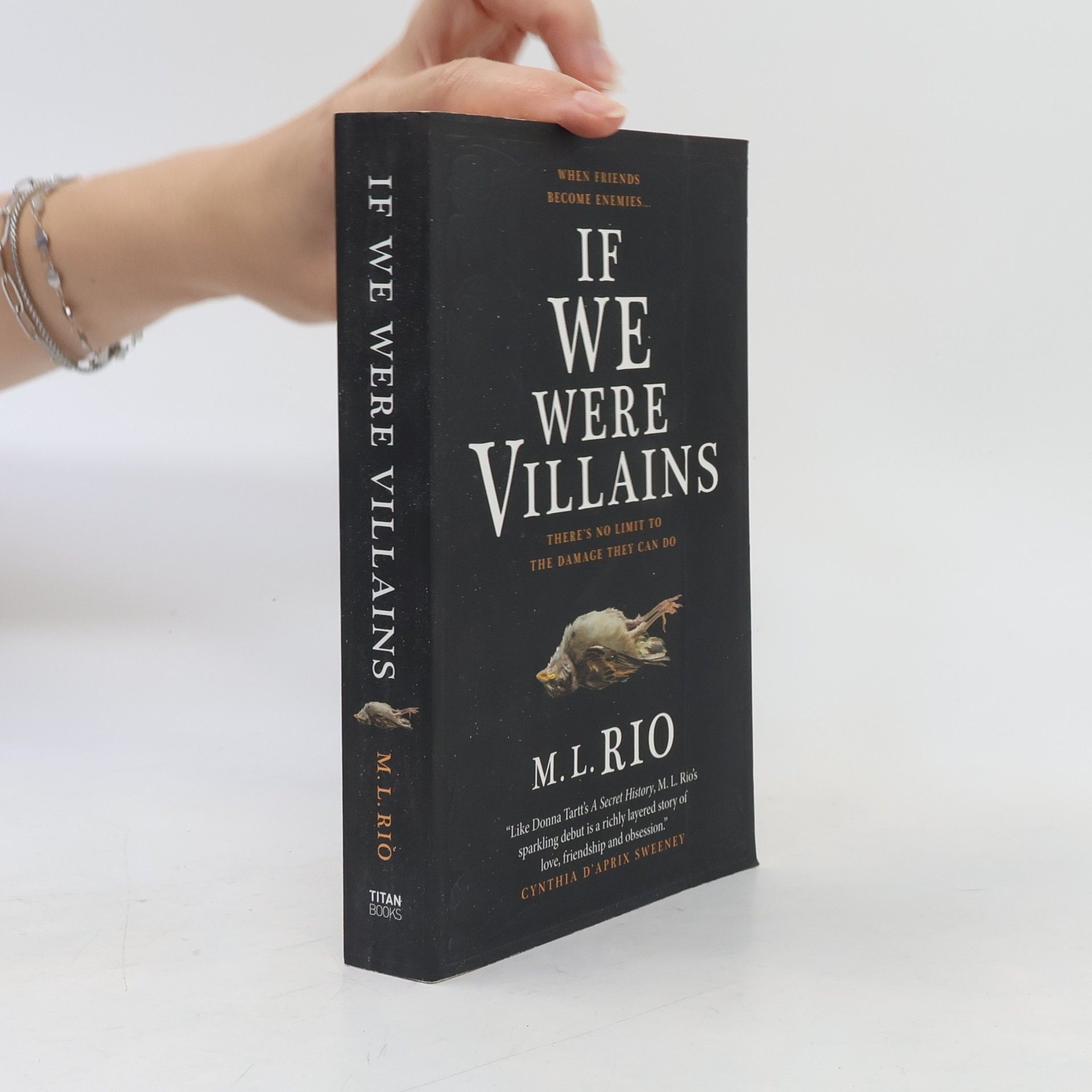 M. L. Rio If We Were Villains