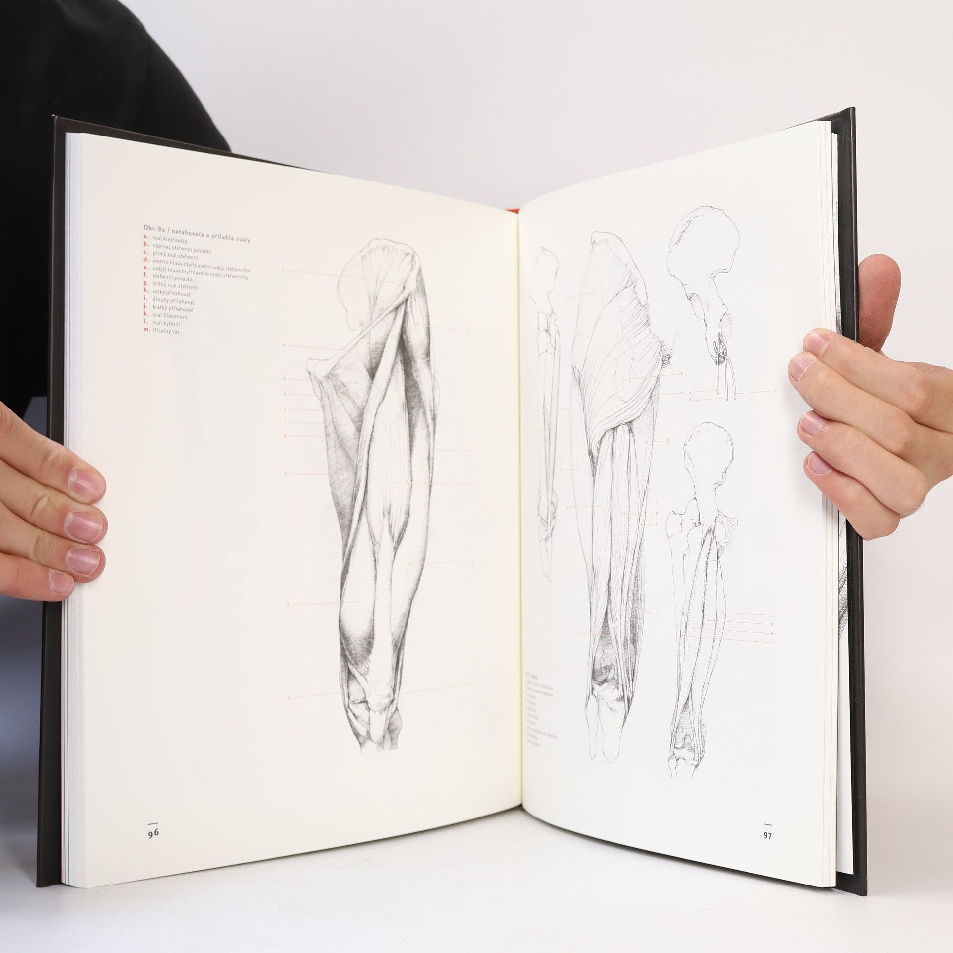 Radek Petříček Výtvarná anatomie