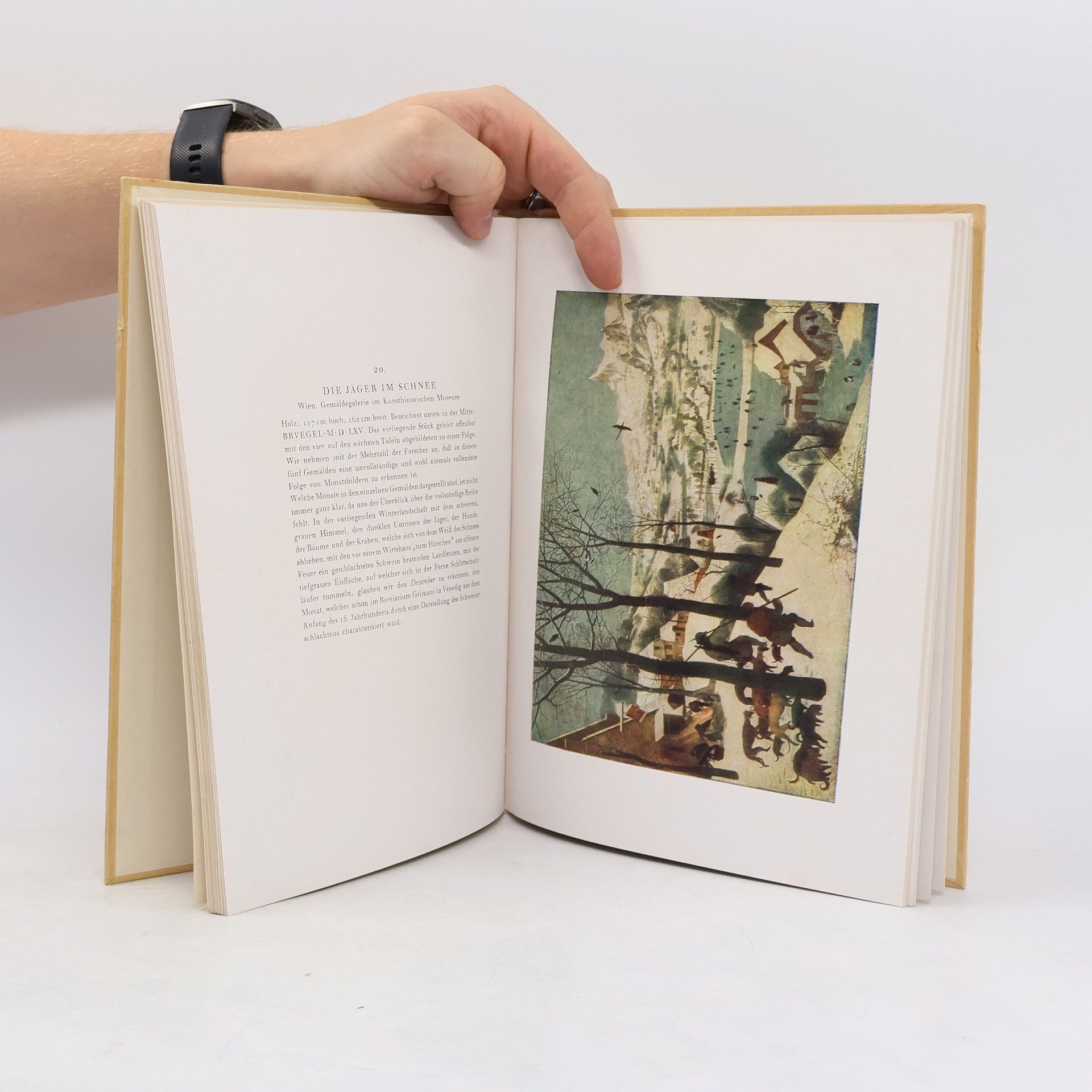 Gustav Glück Das Bruegel-Buch