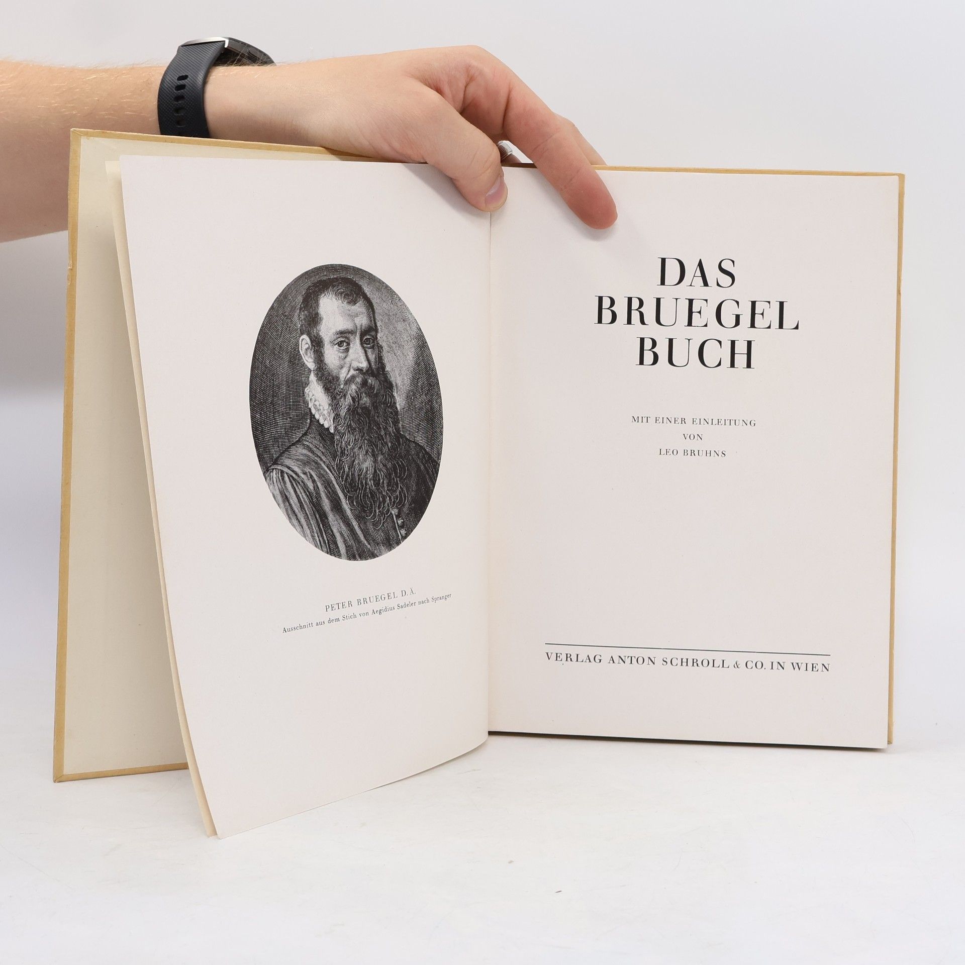 Gustav Glück Das Bruegel-Buch