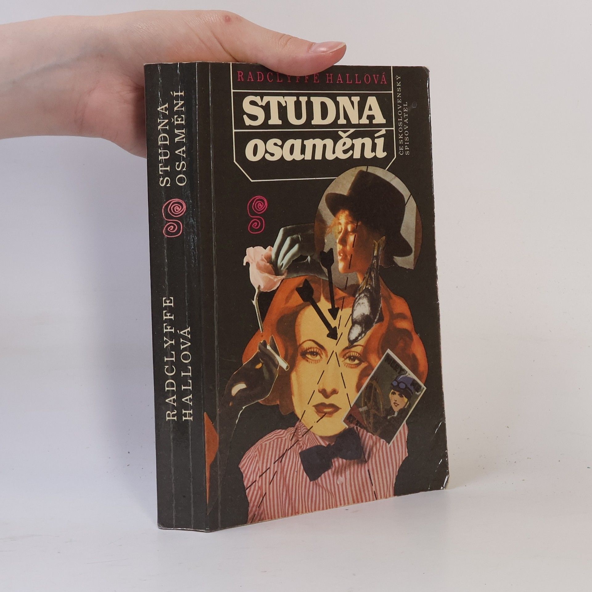 Radclyffe Hall Studna osamění
