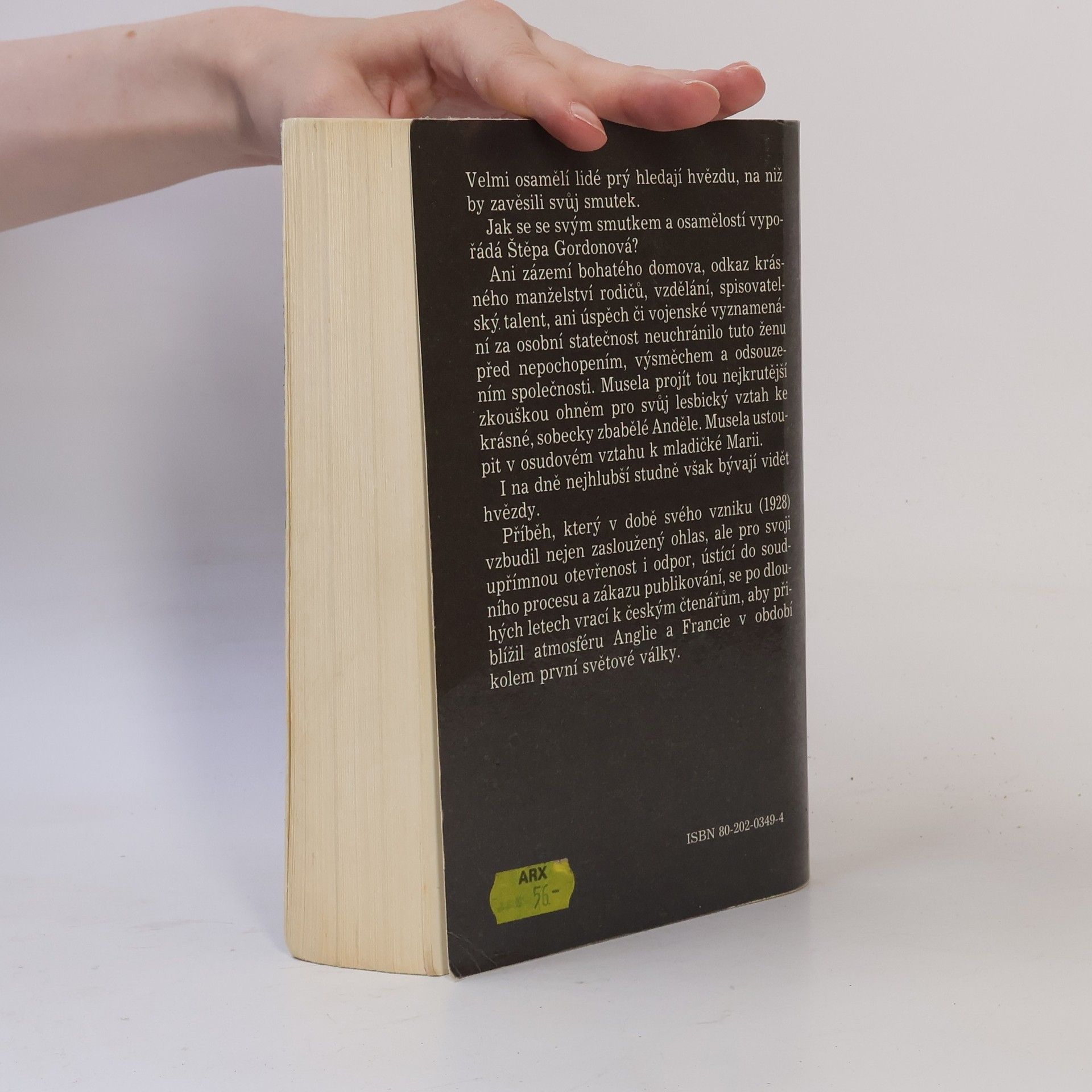 Radclyffe Hall Studna osamění