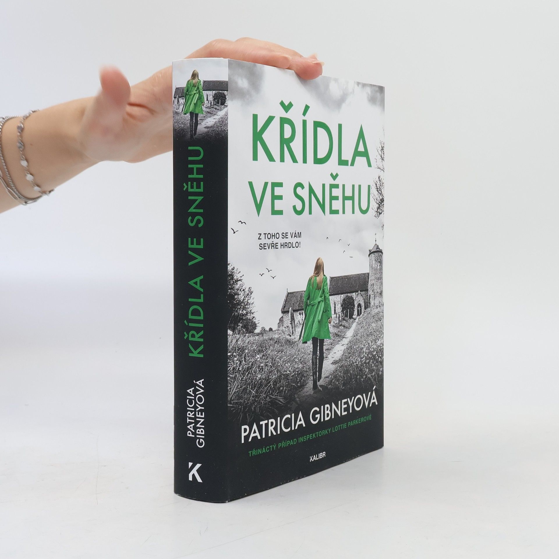 Patricia Gibney Křídla ve sněhu