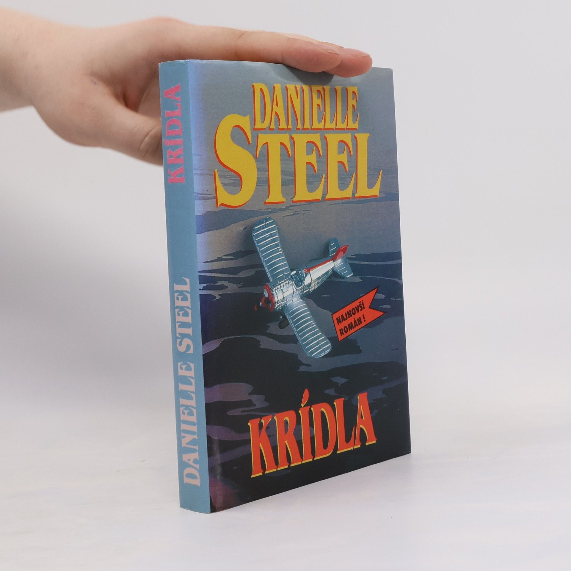 Danielle Steel Krídla