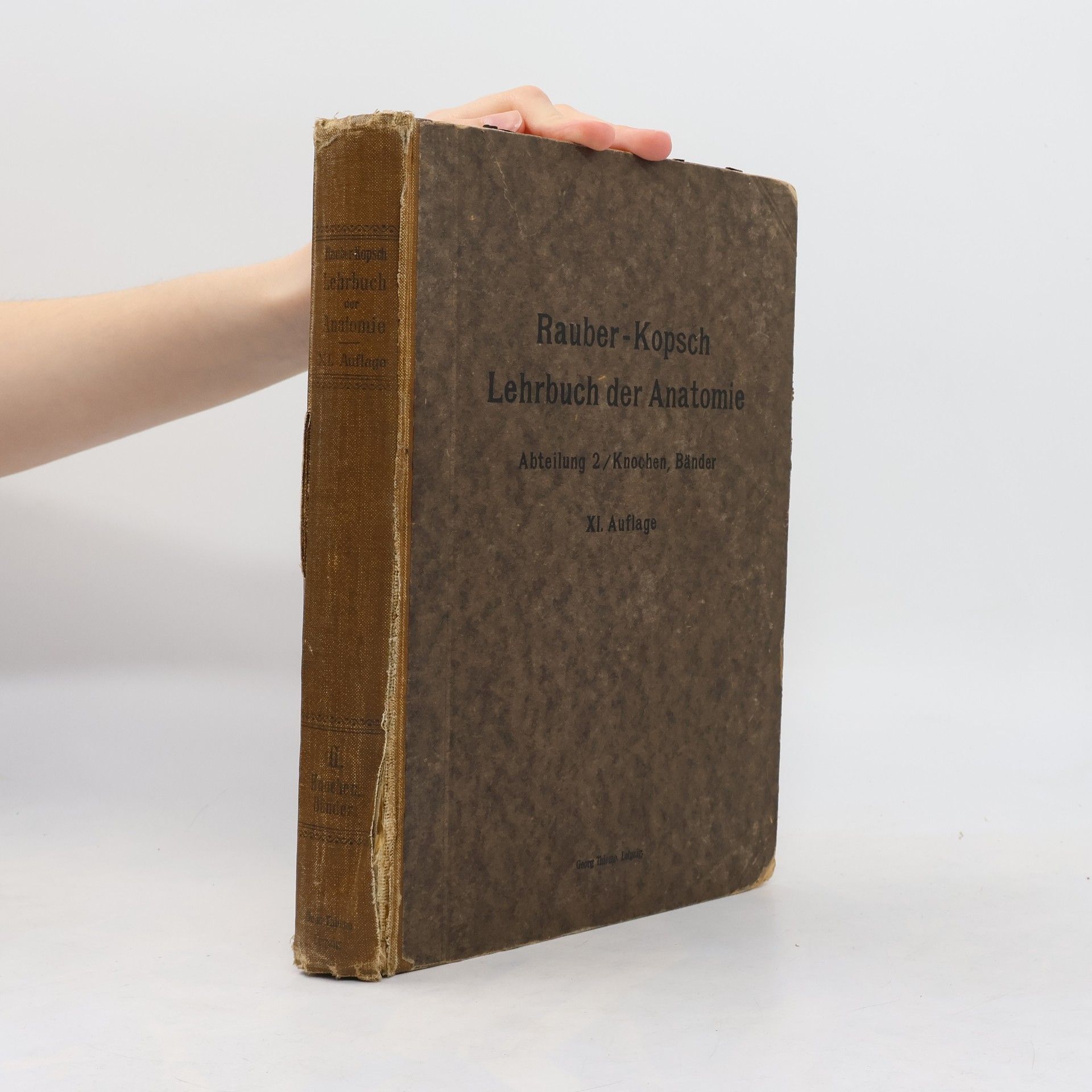 Friedrich Kopsch Rauber's Lehrbuch der Anatomie des Menschen 2