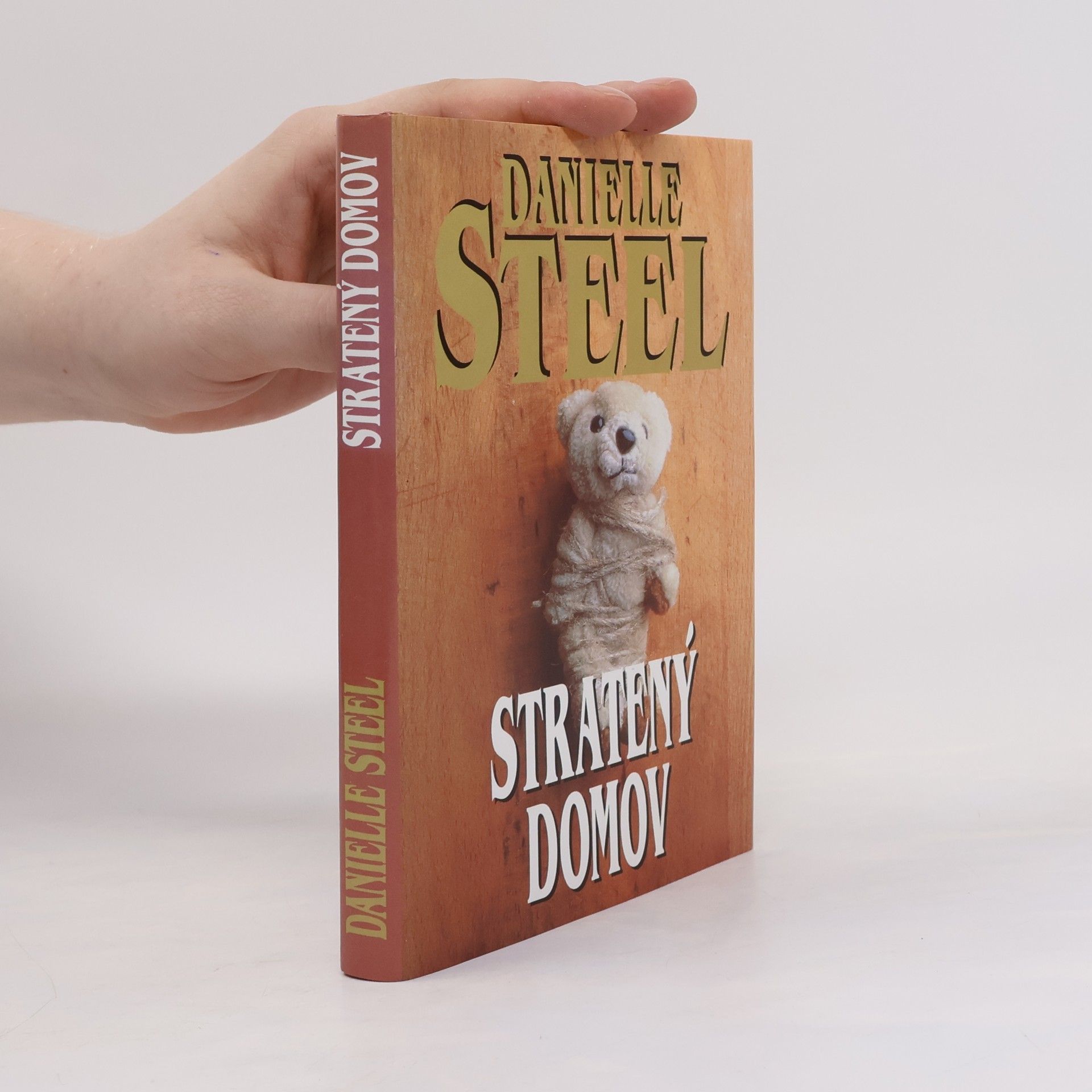 Danielle Steel Stratený domov