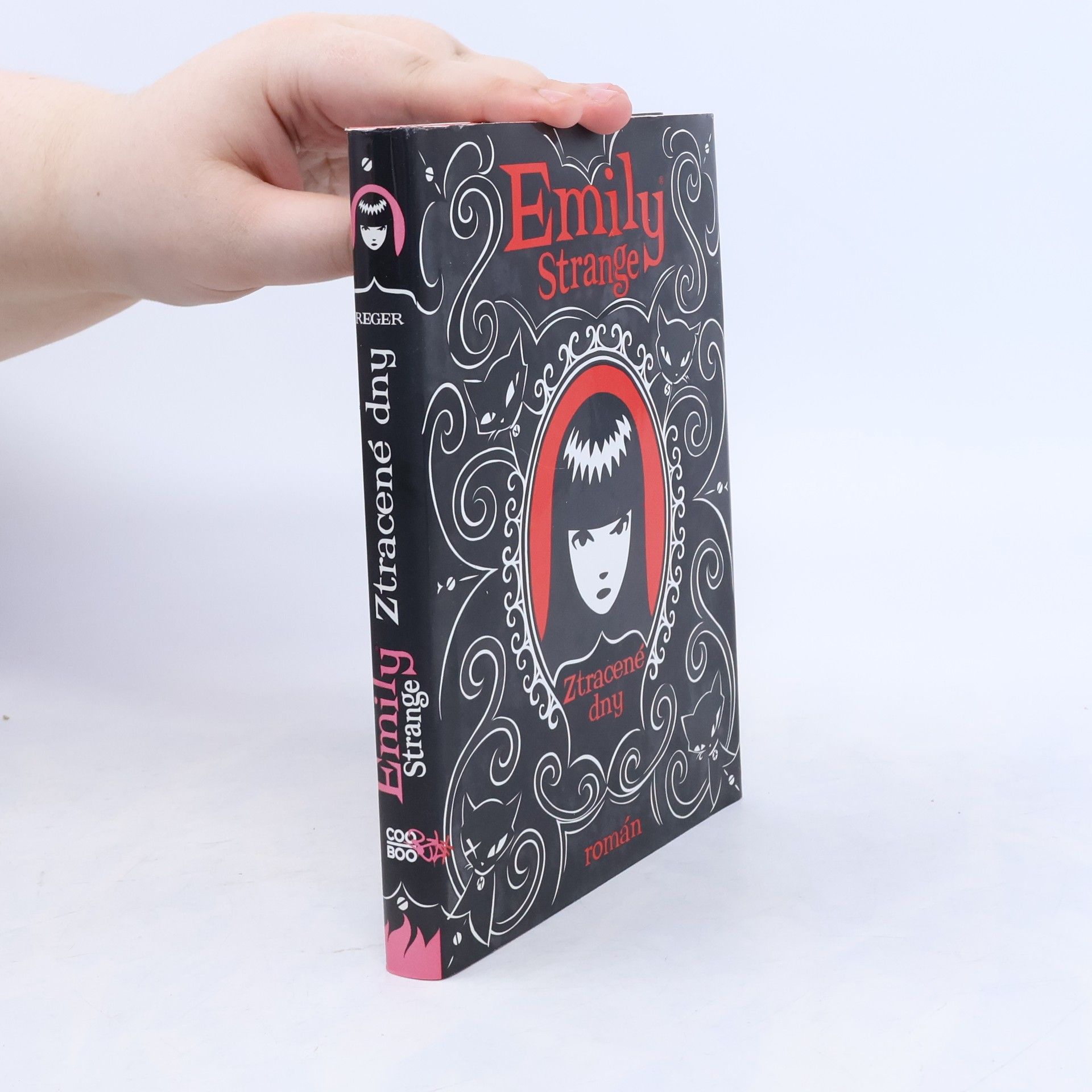 Robert Reger Emily Strange. Ztracené dny