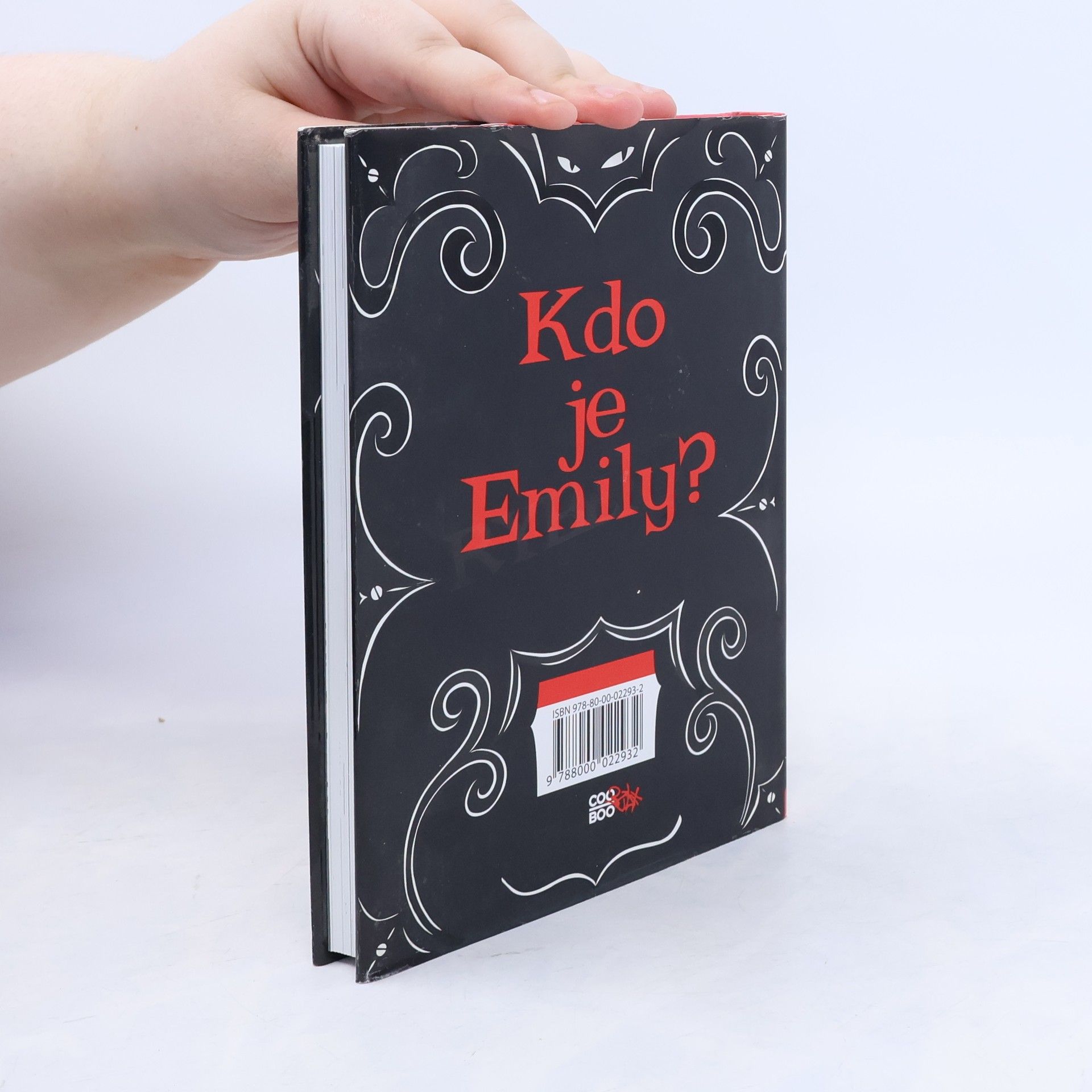 Robert Reger Emily Strange. Ztracené dny