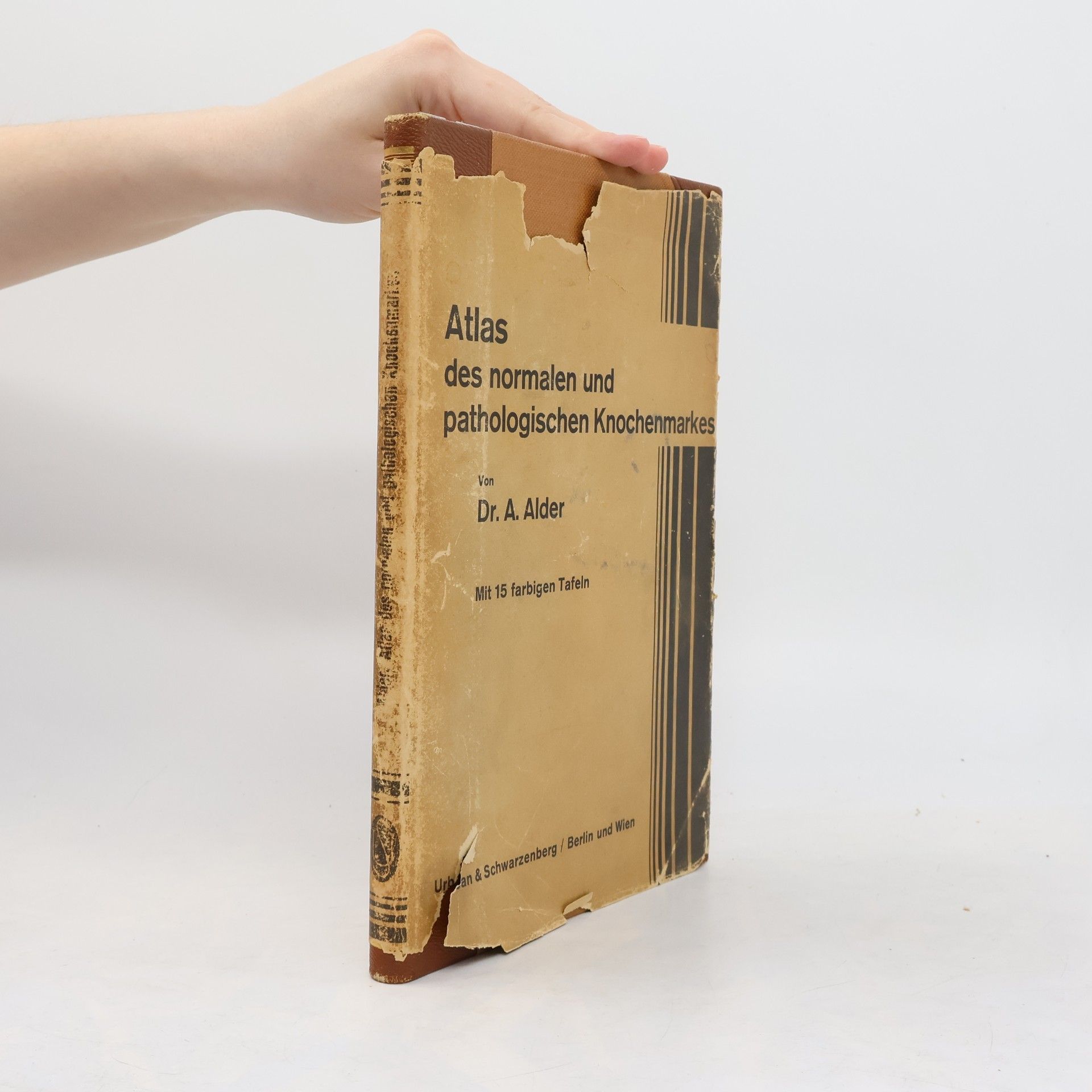 Albert Alder Atlas des normalen und pathologischen Knochenmarkes