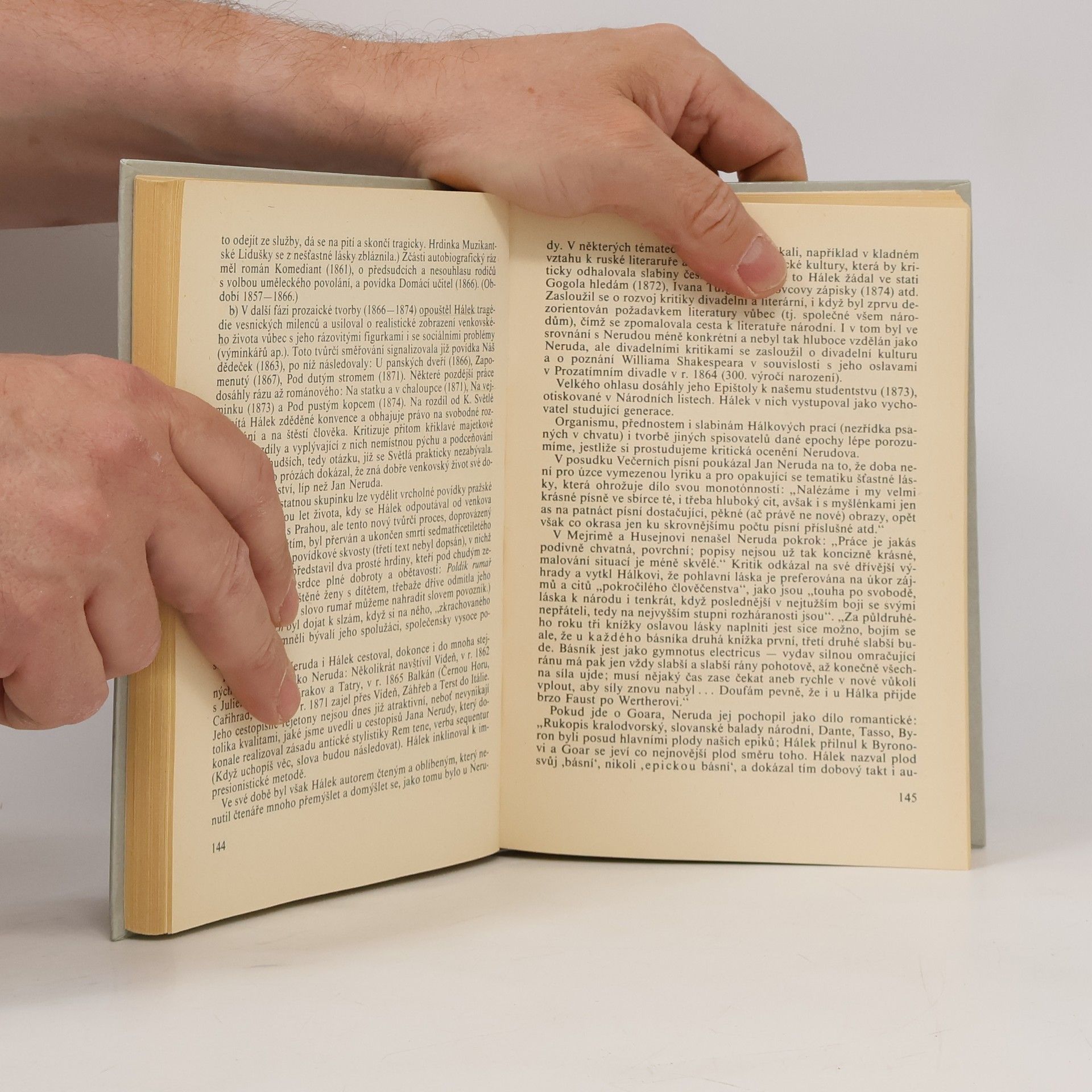 Josef Polák Česká literatura 19. století