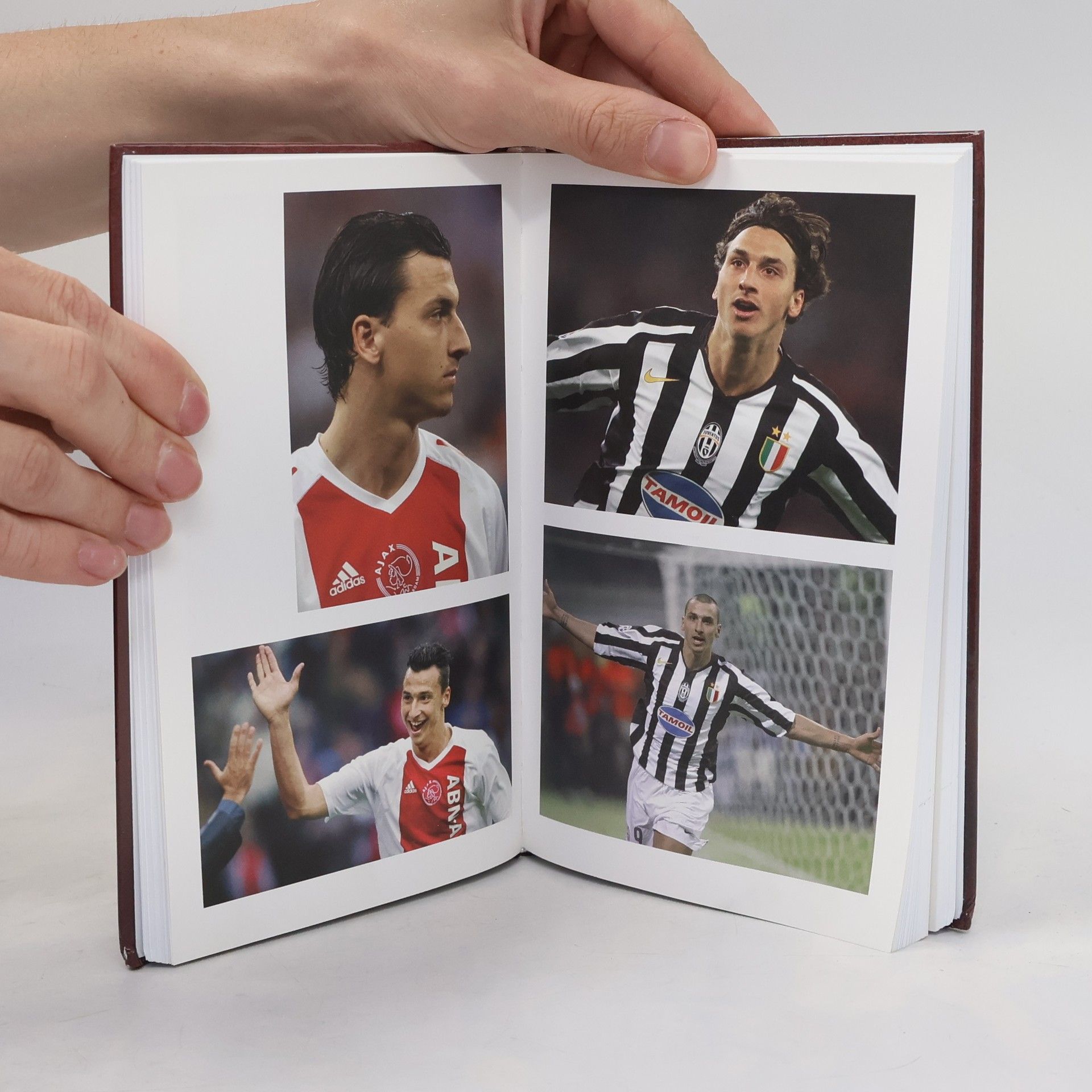 Matt Oldfield Zlatan Ibrahimovič - Červený diabol