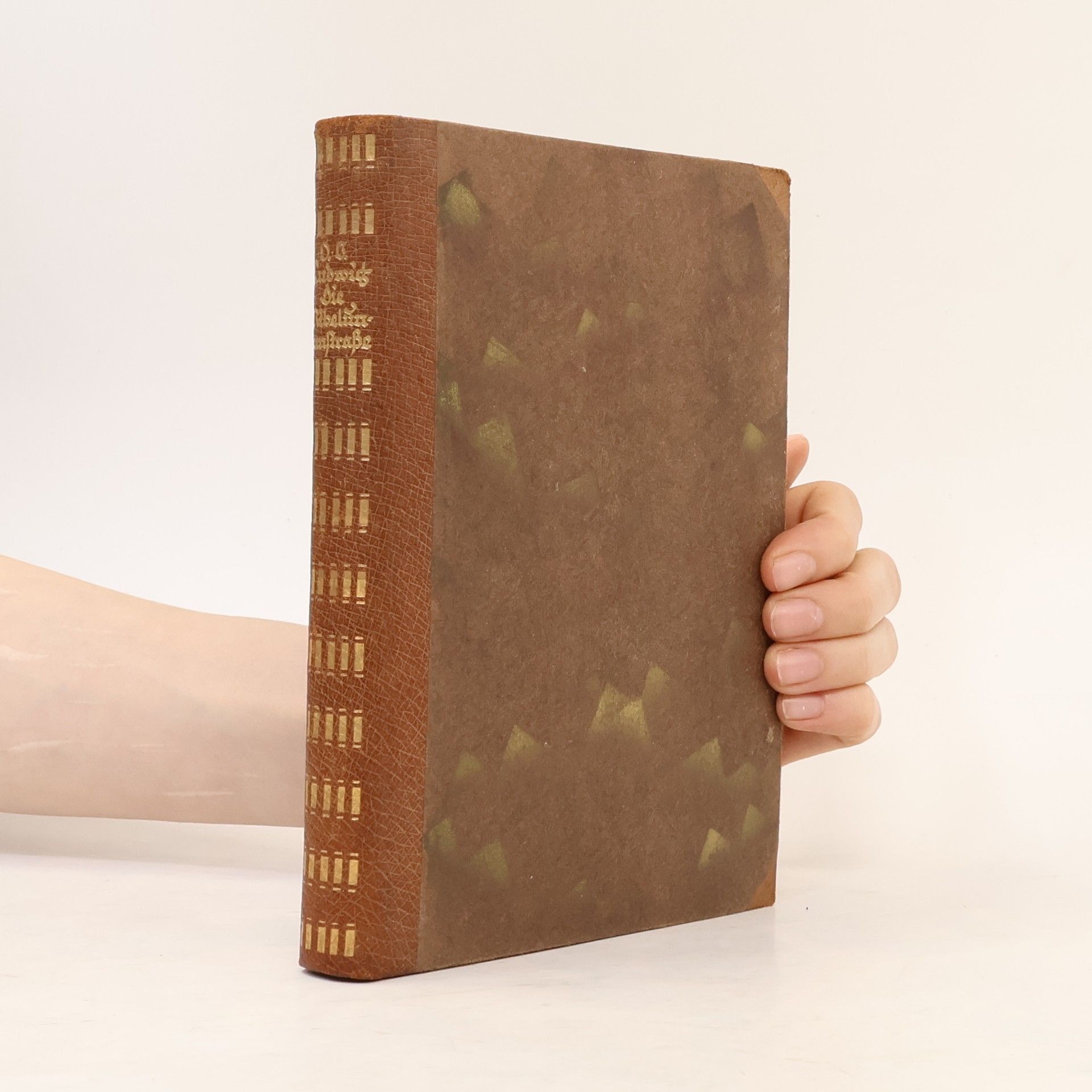 Vinzenz Oskar Ludwig Die Nibelungenstraße. Ein kulturgeschichtliches Wanderbuch