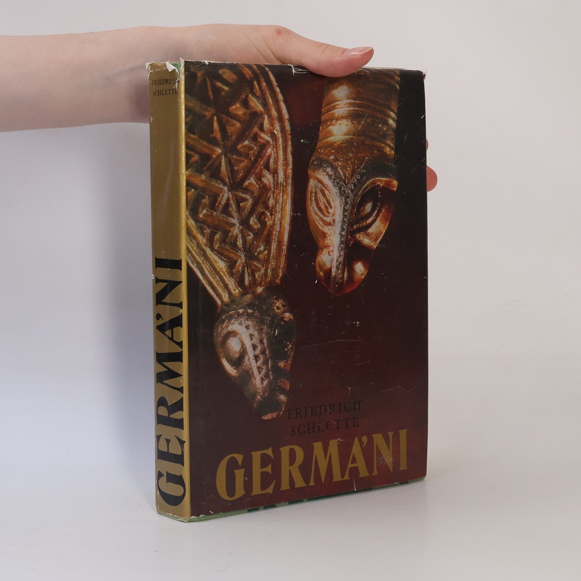 Friedrich Schlette Germáni mezi Thorsbergem a Ravennou