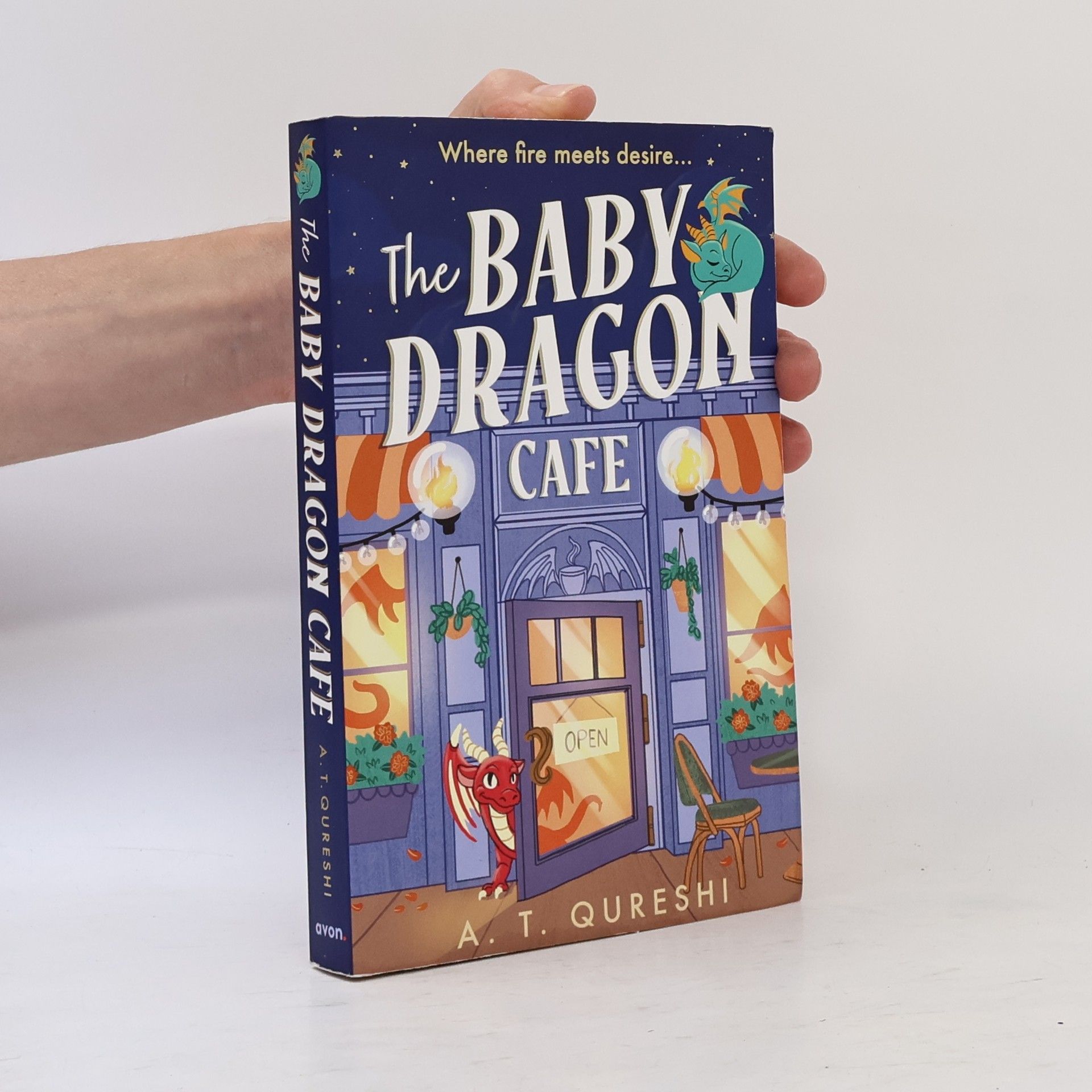 Aamna Qureshi The Baby Dragon Cafe