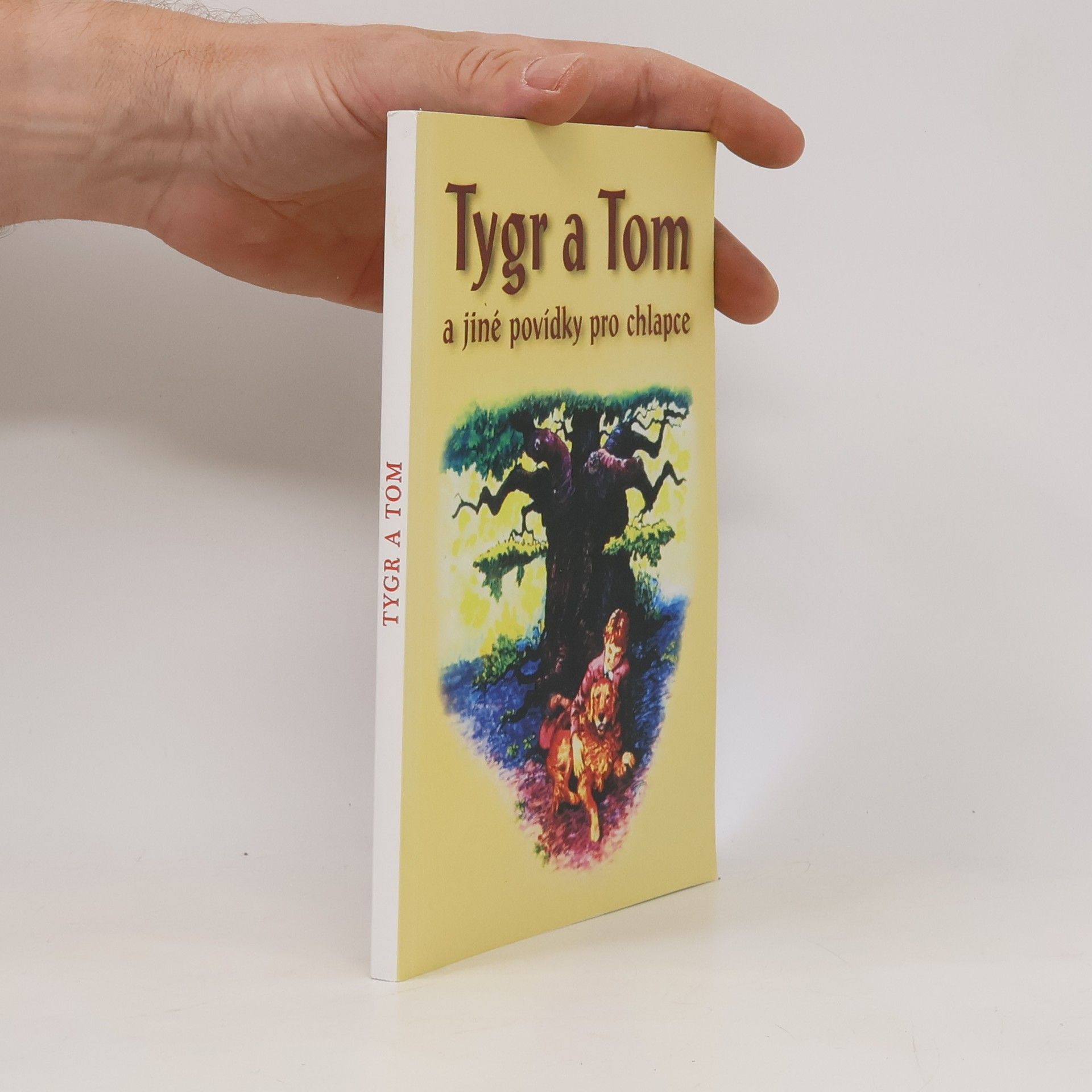 Various authors Královská dcera a jiné povídky pro dívky