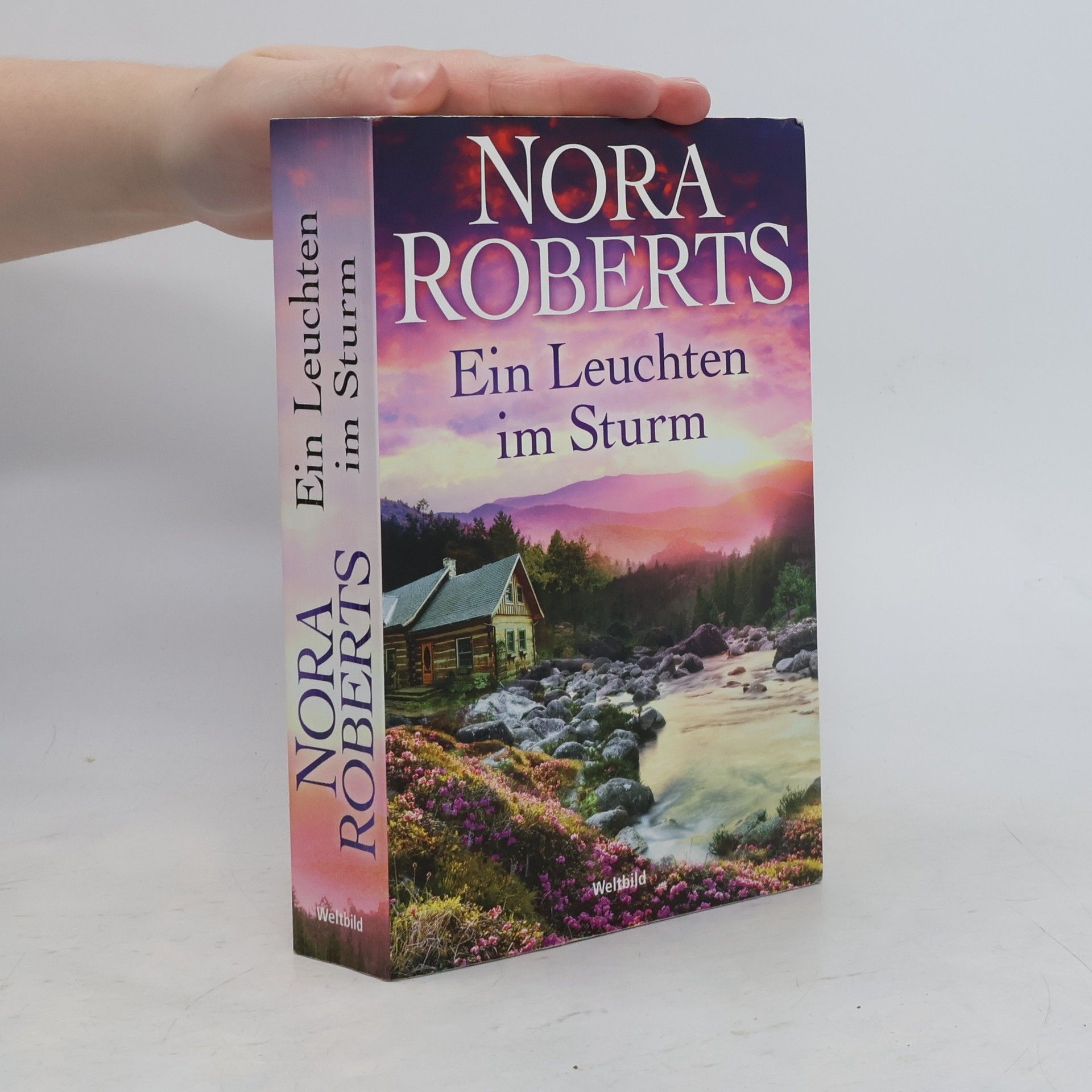 Nora Roberts Ein Leuchten im Sturm