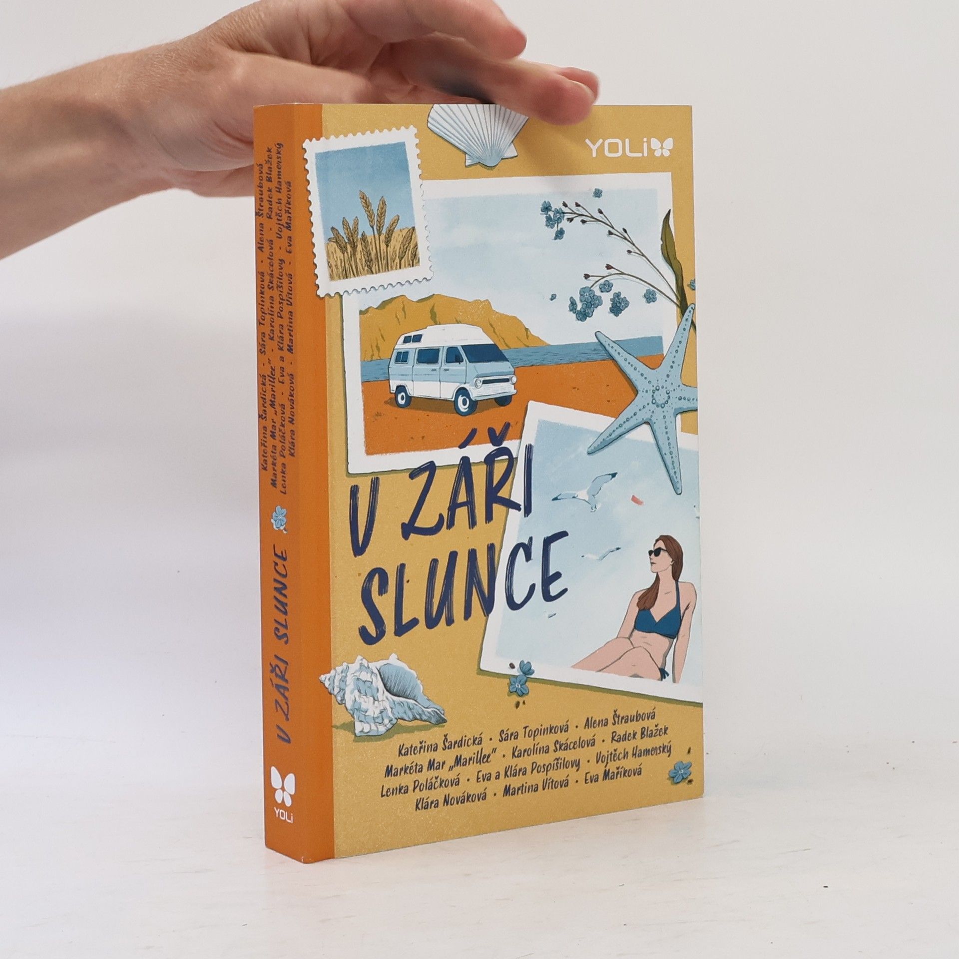 Kolektiv autorů V záři slunce