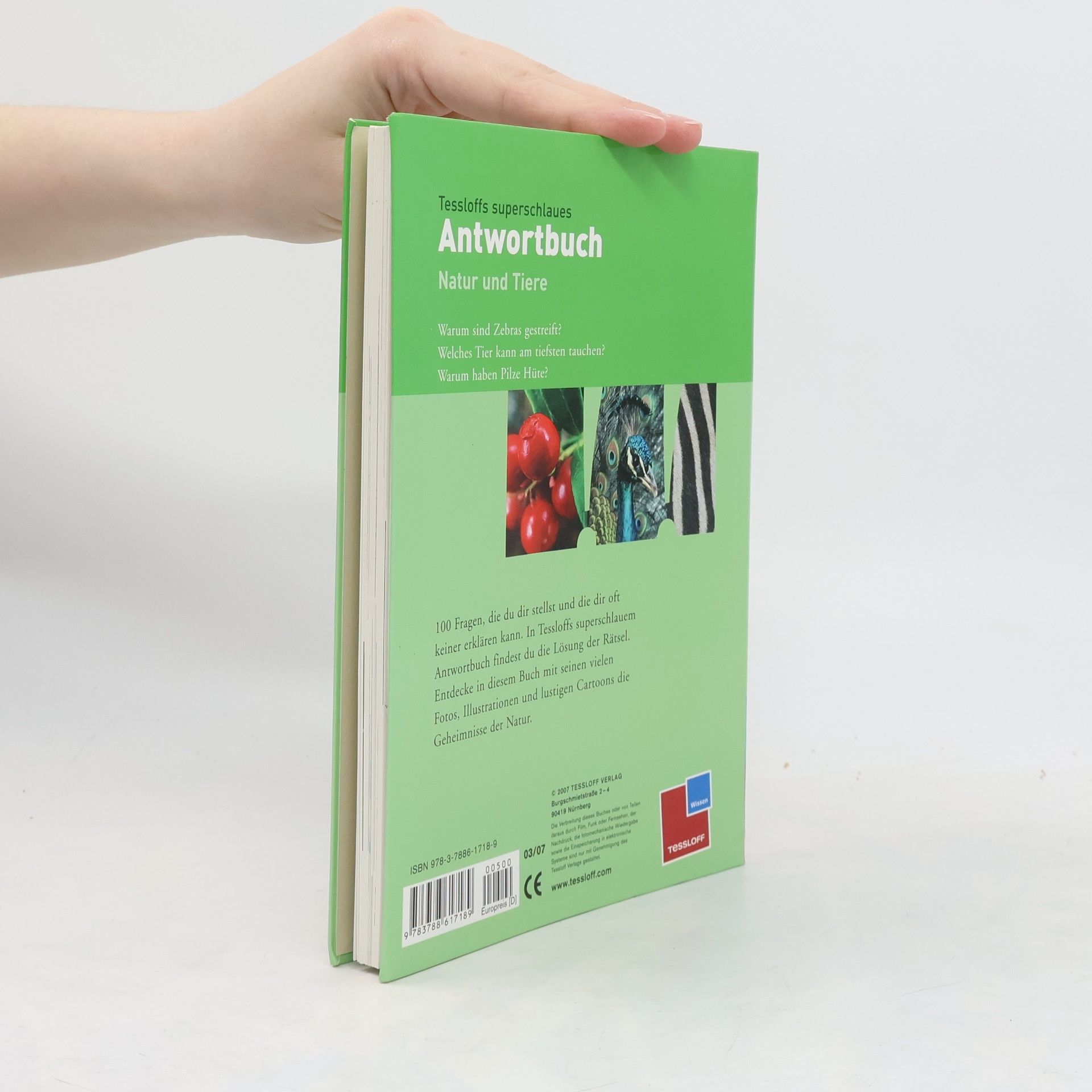 Rainer Köthe Tessloffs superschlaues Antwortbuch - Natur und Tiere