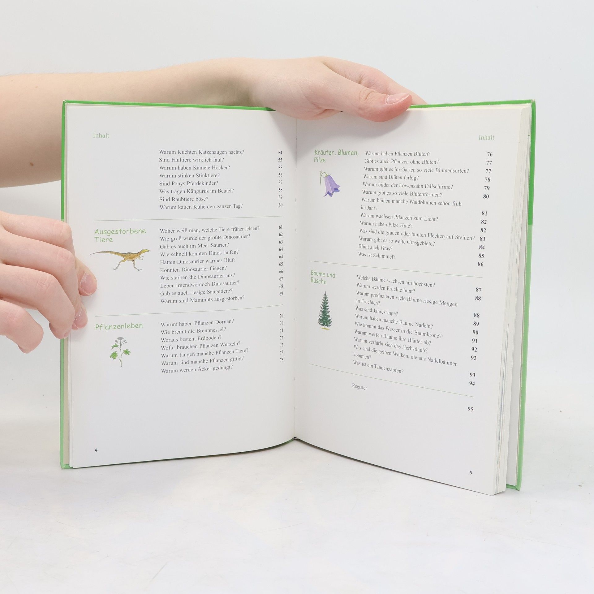 Rainer Köthe Tessloffs superschlaues Antwortbuch - Natur und Tiere