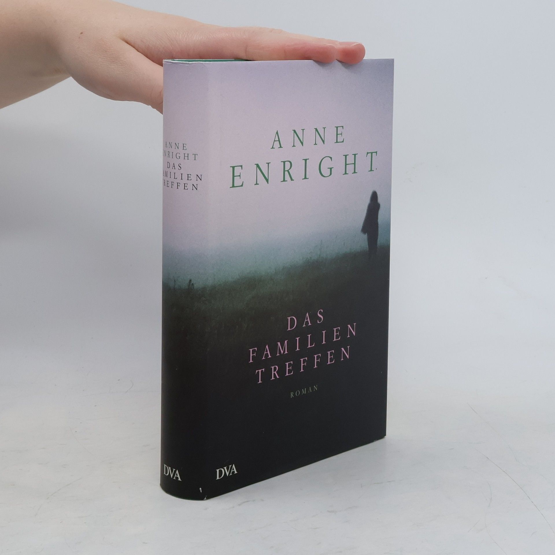 Anne Enright Das Familientreffen
